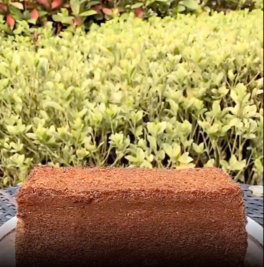 thumbnail video image 2 of Potting Soil,Seed Starting Soil,Indoor Gardening,Low-Salt Coconut Coir Brick Nutrient Planting Medium,No Insect Eggs Clean Soilless Substrate With High Water Retention For Vegetables,Herbs., 2 of 10