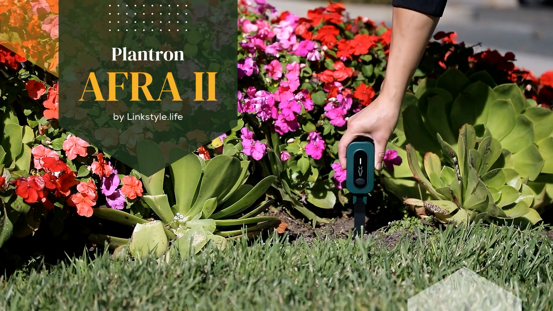 thumbnail video image 2 of PLANTRON Afra II Smart Soil Moisture Sensor By LINKSTYLE — 3-in-1 Soil Moisture, Temperature and Luminosity Monitoring, IP67 Waterproof, Indoor/Outdoor [Requires Hub To work], 2 of 10
