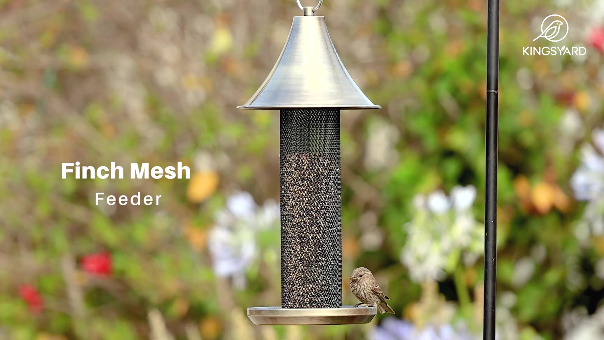 thumbnail video image 2 of Kingsyard Metal Finch Bird Feeders for Outside Hanging Tube Feeder for Nyjer/Thistle, 1.5lbs Capacity, 2 of 7