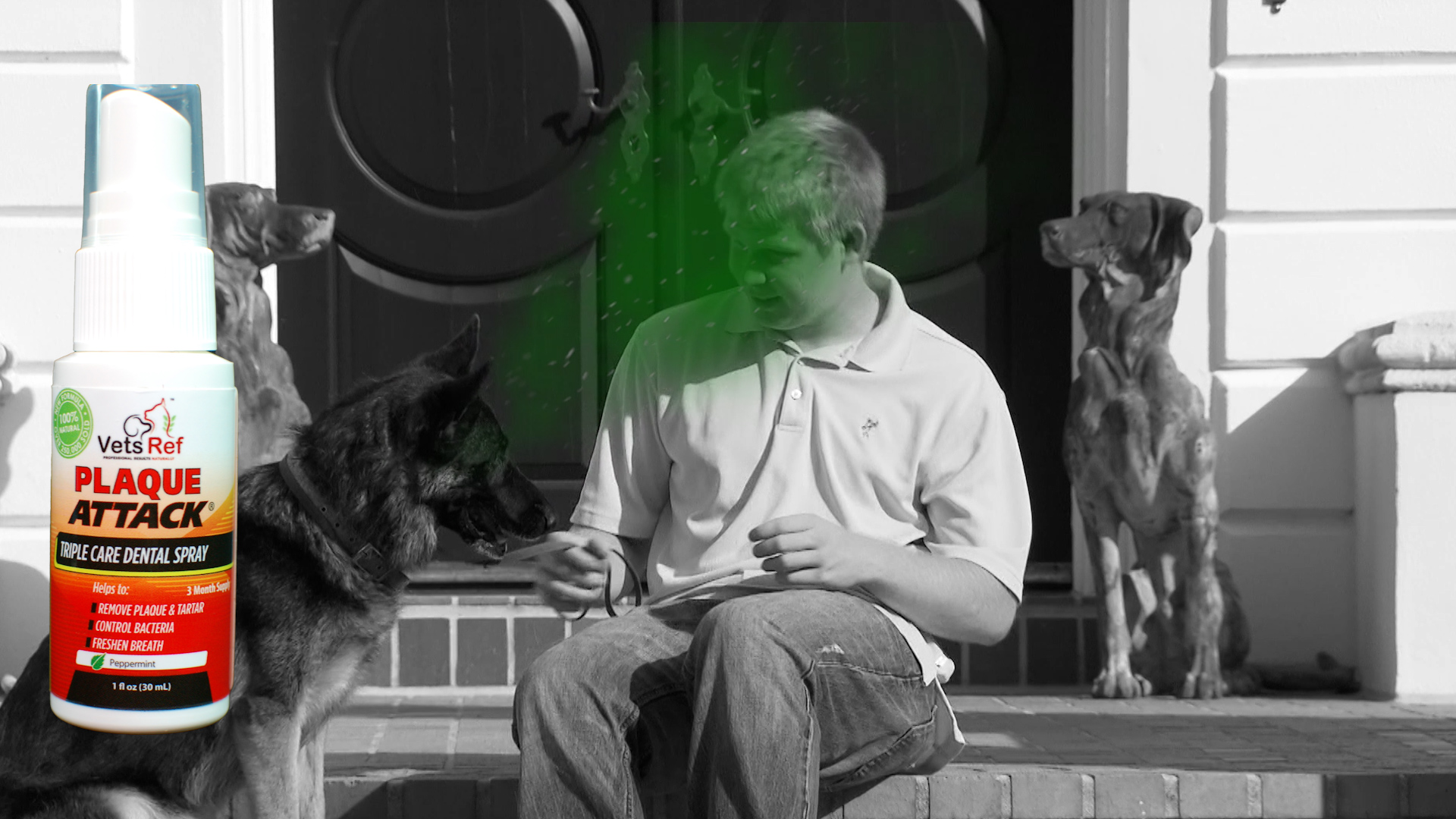 thumbnail video image 2 of Plaque Attack Pet Dental Spray,  naturally help all pets teeth and breath, 2 of 8