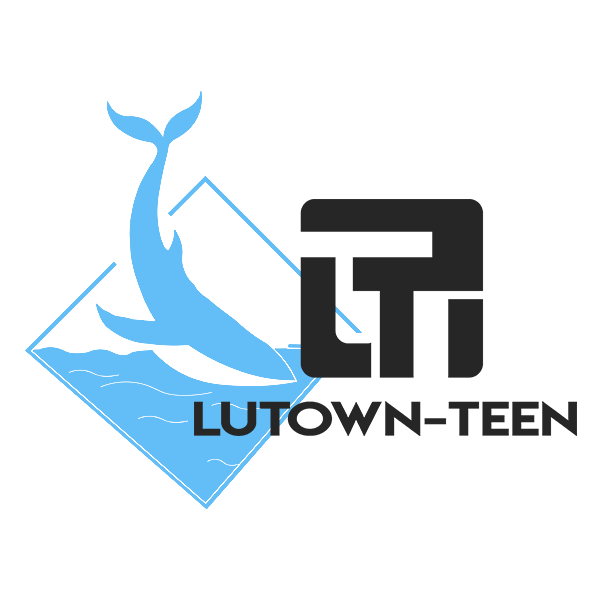 thumbnail video image 2 of Lutown-Teen 16 inch Twin XL Bed Frames Heavy Duty Sturdy Metal Platform Bed Frame No Box Spring Needed, Noise Free, Easy Assembly, Black, 2 of 6