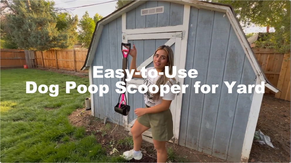 thumbnail video image 2 of iPetba 32" Pooper Scooper for Large Dogs, Long Handle Dog Poop Scooper for Yard Foldable Dogs Poop Picker Upper Rose Pink, 2 of 6