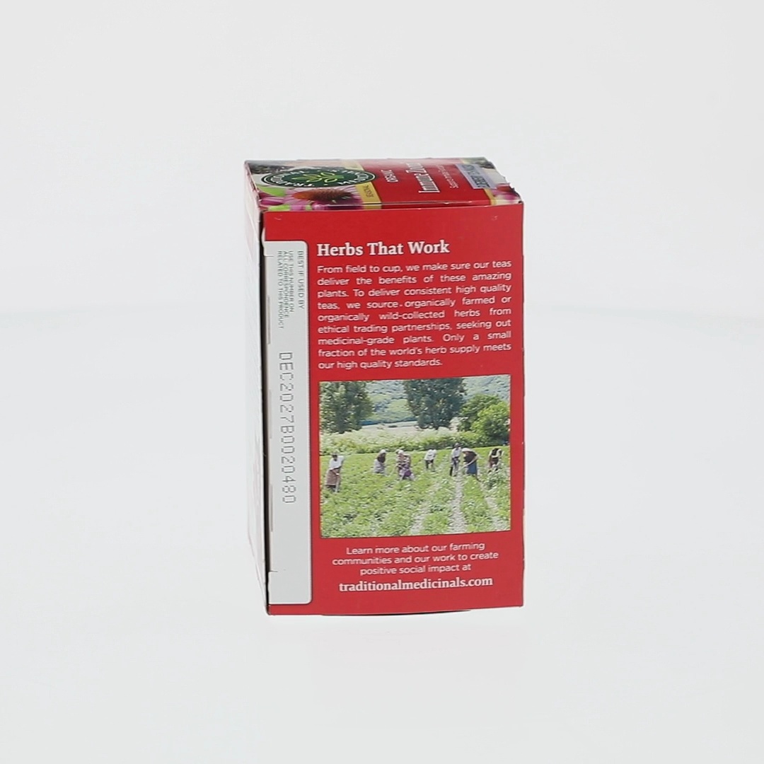 Traditional Medicinals Organic Elderberry Echinacea Herbal Tea