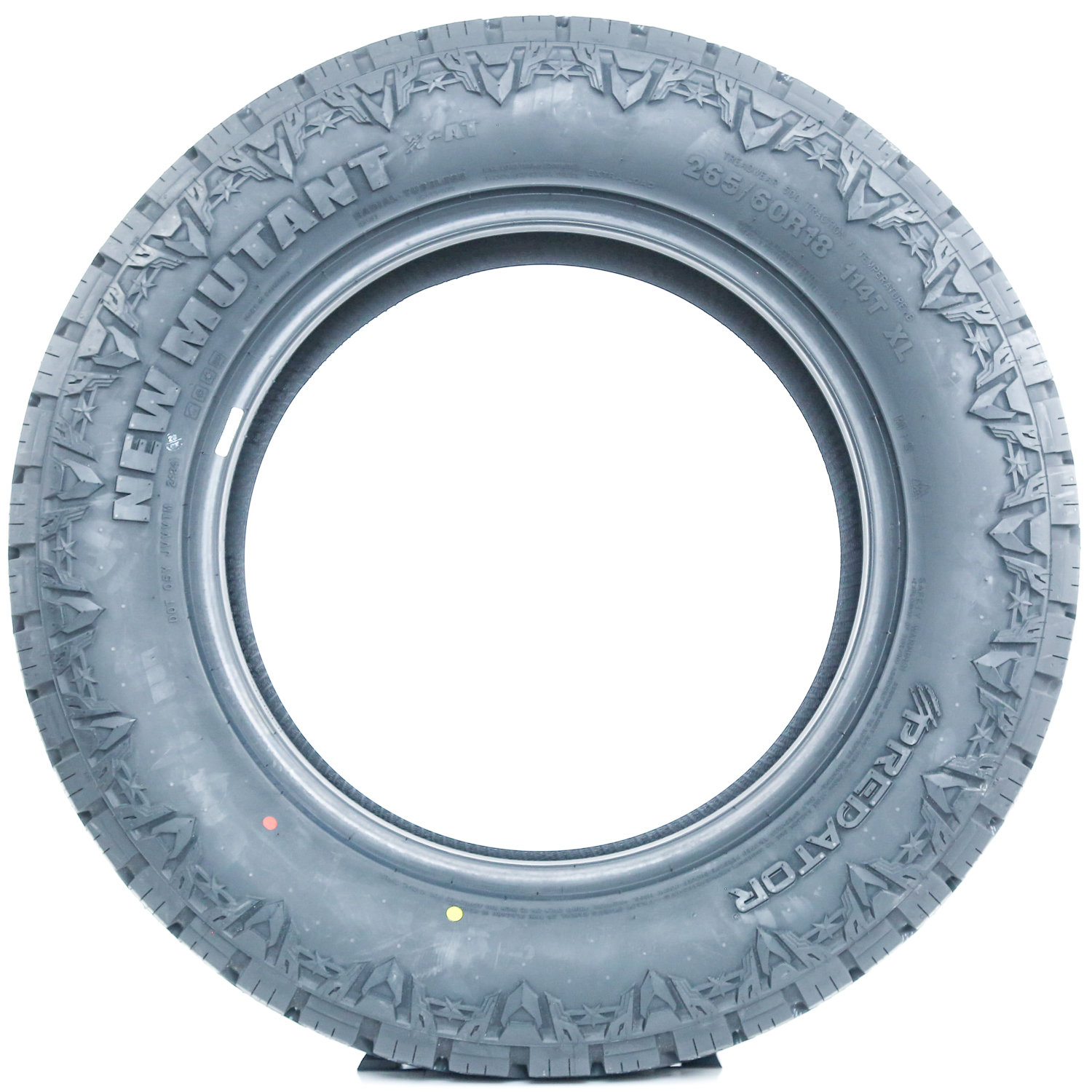 ぬ cGRLDBQL66766267ce54d_17190344