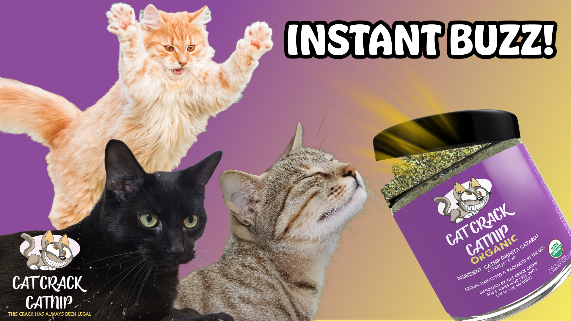 thumbnail video image 2 of Cat Crack Organic Catnip, 100% Natural Cat Nips Organic Blend That Energizes and Excites Cats, Safe Catnip Treats for Cat Play, Cat Training, & New Organic Catnip Toys for Cats(1 Cup Organic), 2 of 7