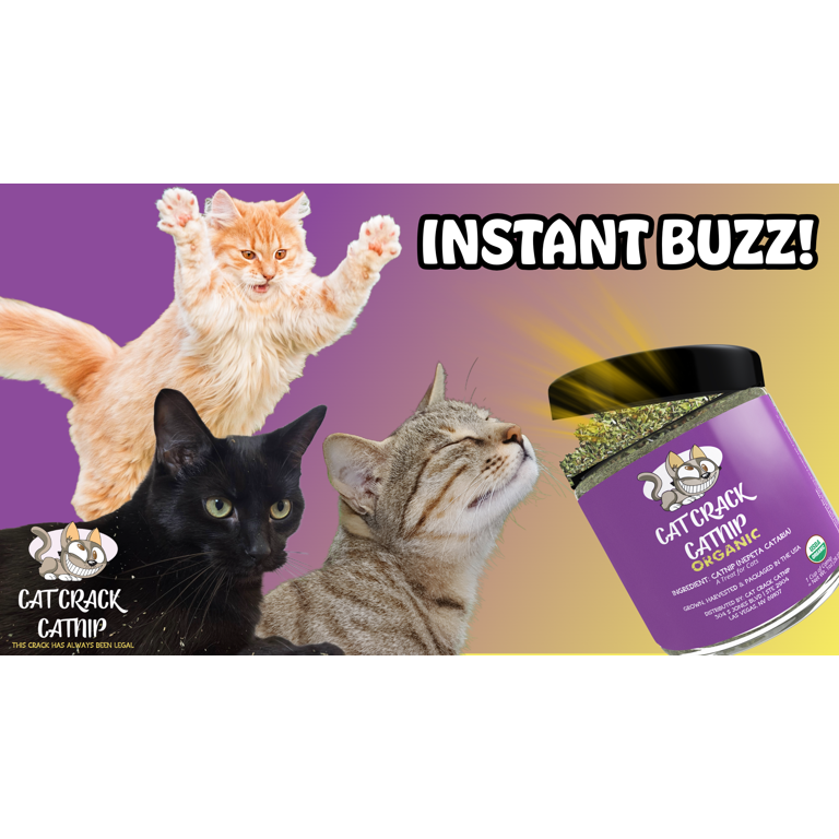 Cat Crack Catnip, Fresh & Natural North American Made Kitten