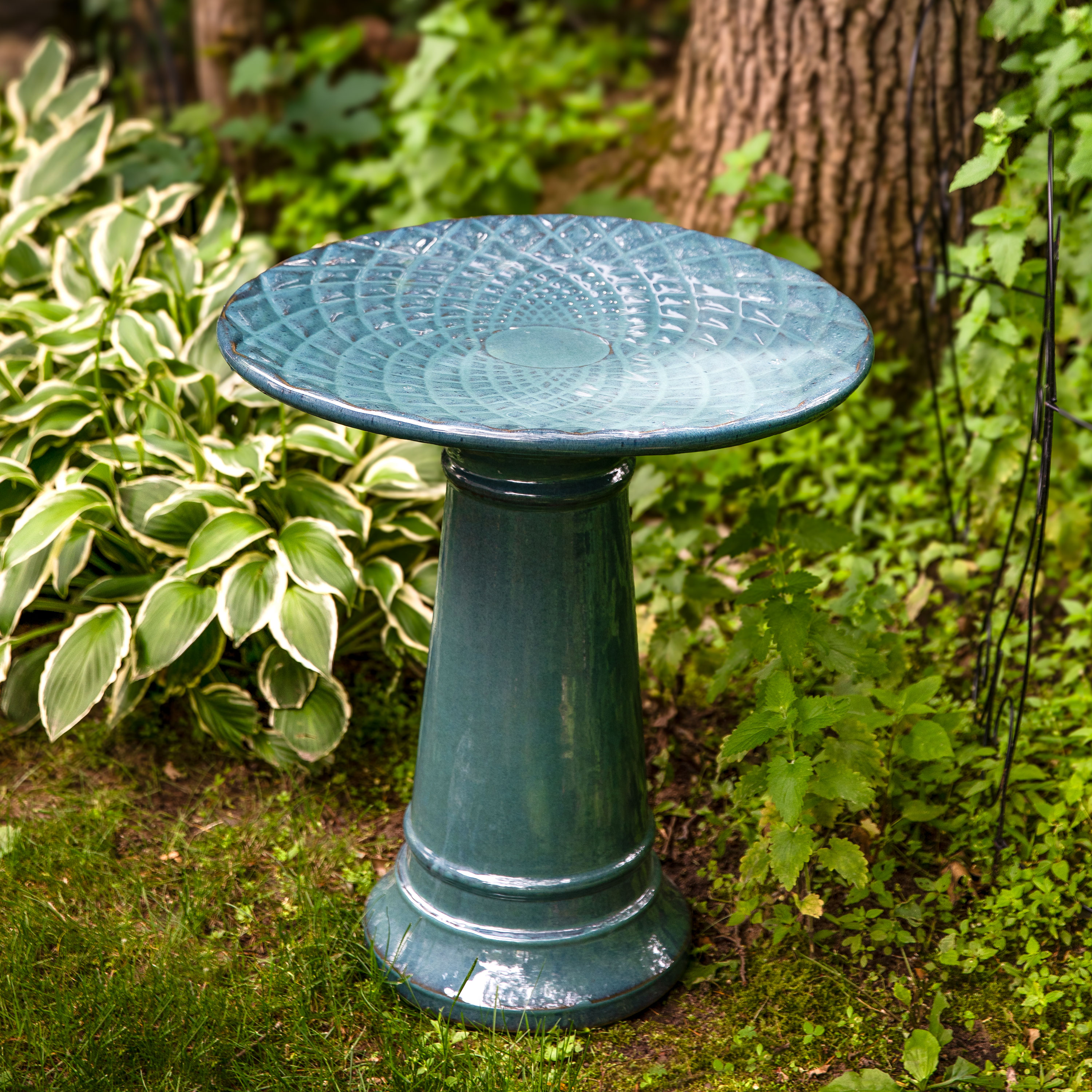thumbnail video image 2 of Sunnydaze Rennes Freestanding Ceramic Outdoor Bird Bath, UV-Resistant Turquoise Finish, 2 of 13