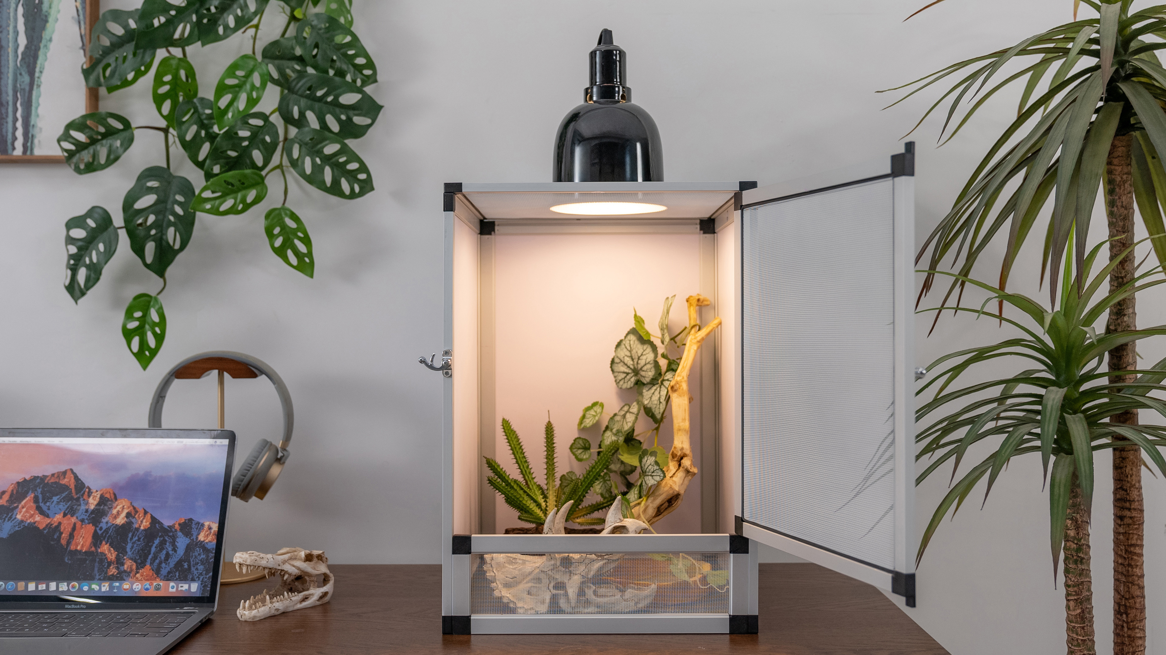 thumbnail video image 2 of ToxiRium 8x8x12Inch Hybrid PVC Reptile Cage| Ventilated Habitat Enclosure with Interchangeable Acrylic & Mesh Doors, Durable Tank for Gecko, Chameleon, Snake, Frog, Easy Assembly, Front Dual Access, 2 of 12