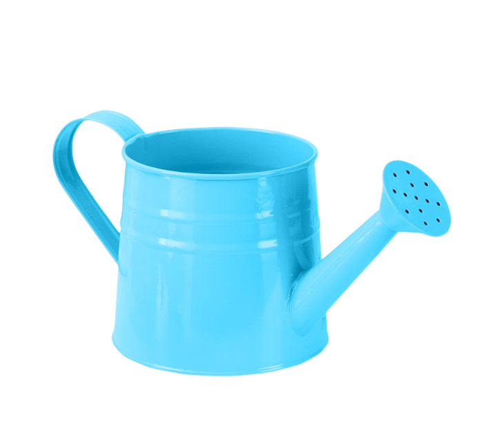 thumbnail video image 2 of SeekLGT 1 Gallon Metal Watering Can with Detachable Rose Head, 4L Blue Long Spout Sprinkling Can for Precise Watering and Soil Protection, Rust-Proof Steel, 1PC, 2 of 3