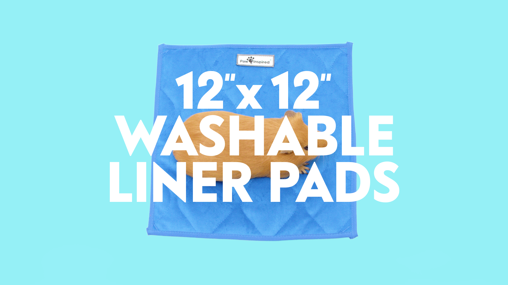 thumbnail video image 2 of 3ct 12x12" Paw Inspired Guinea Pig Cage Liner Pads | Washable Fleece Bedding , Pet Bed Mat for Guinea Pigs, Ferrets, Rabbits, Hamsters, Small Animals |Absorbent Pee Pad with Waterproof Bottom (Green), 2 of 9