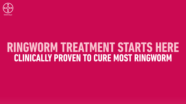 thumbnail video image 3 of Lotrimin AF Clotrimazole Ringworm Treatment Antifungal Cream, 12G Tube, 3 of 15