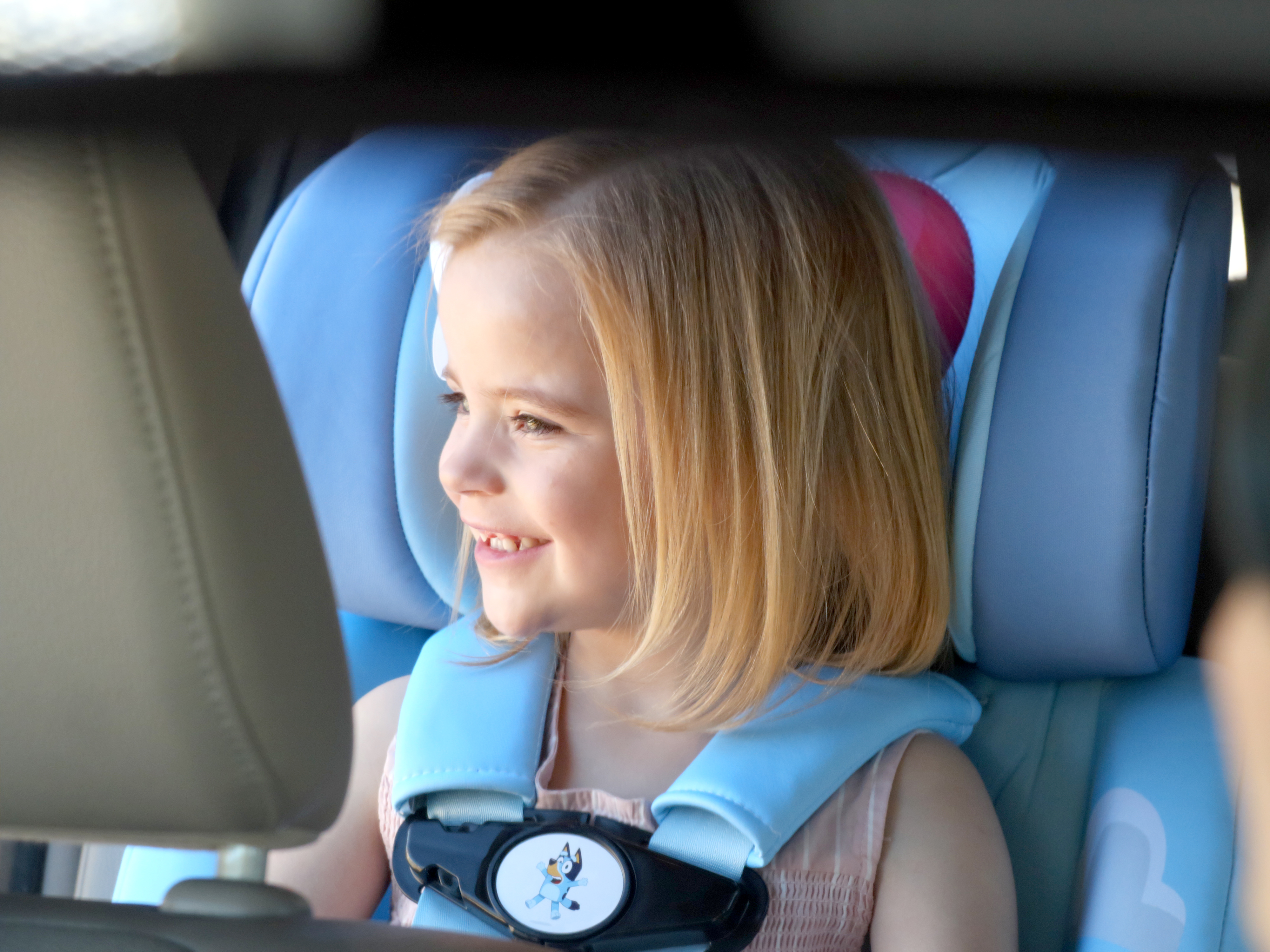 thumbnail video image 2 of KidsEmbrace Bluey 2-in-1 Combination Harness to Booster Car Seat, Forward-Facing Harness, Booster, Multi-Position Headrest, Toddler, 2 of 12