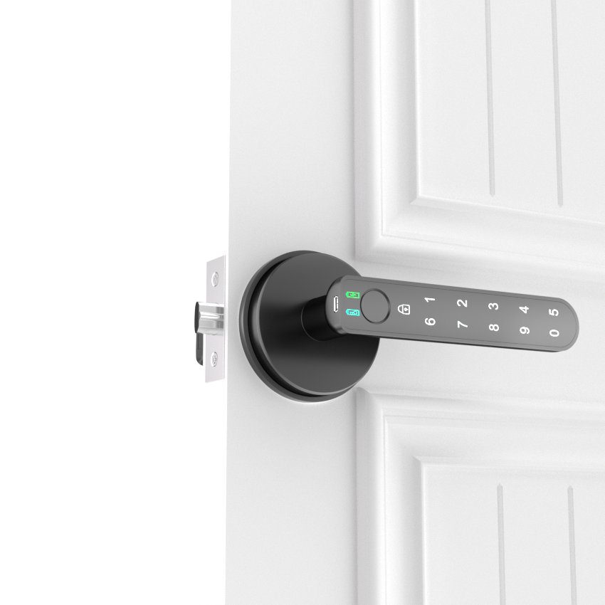 Smart Fingerprint Door Lock Biometric Keyless Entry Door Knob with