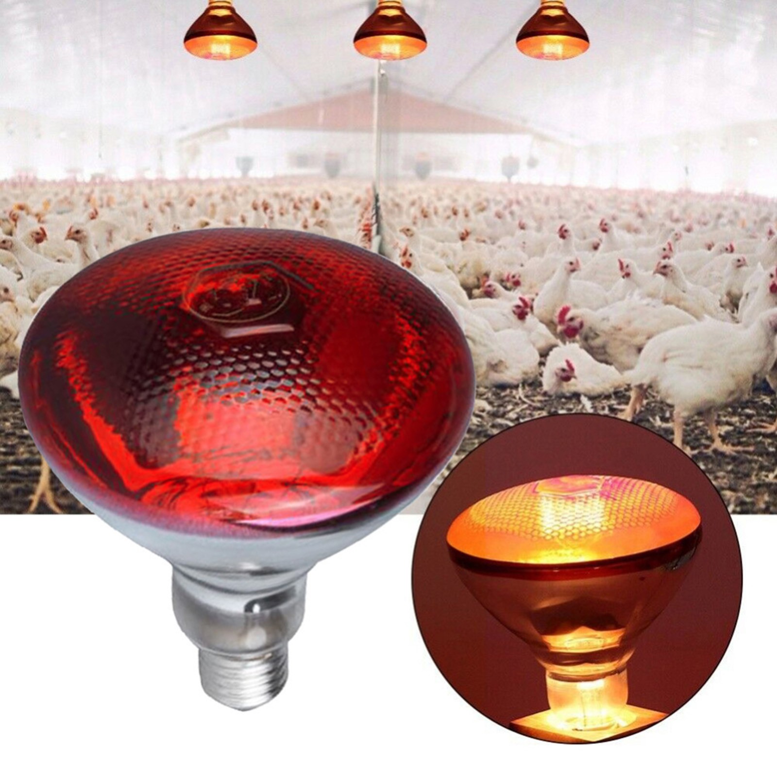 thumbnail video image 2 of Up to 65% off Clearance! Led Light, 250W Infrared Heat Lamp Anti Explosion Thickened Light Bulbs for Piglet Chicken Duck Birds A Floodlight Kingtowag, 1 Pc Heat Lamp, 2 of 7
