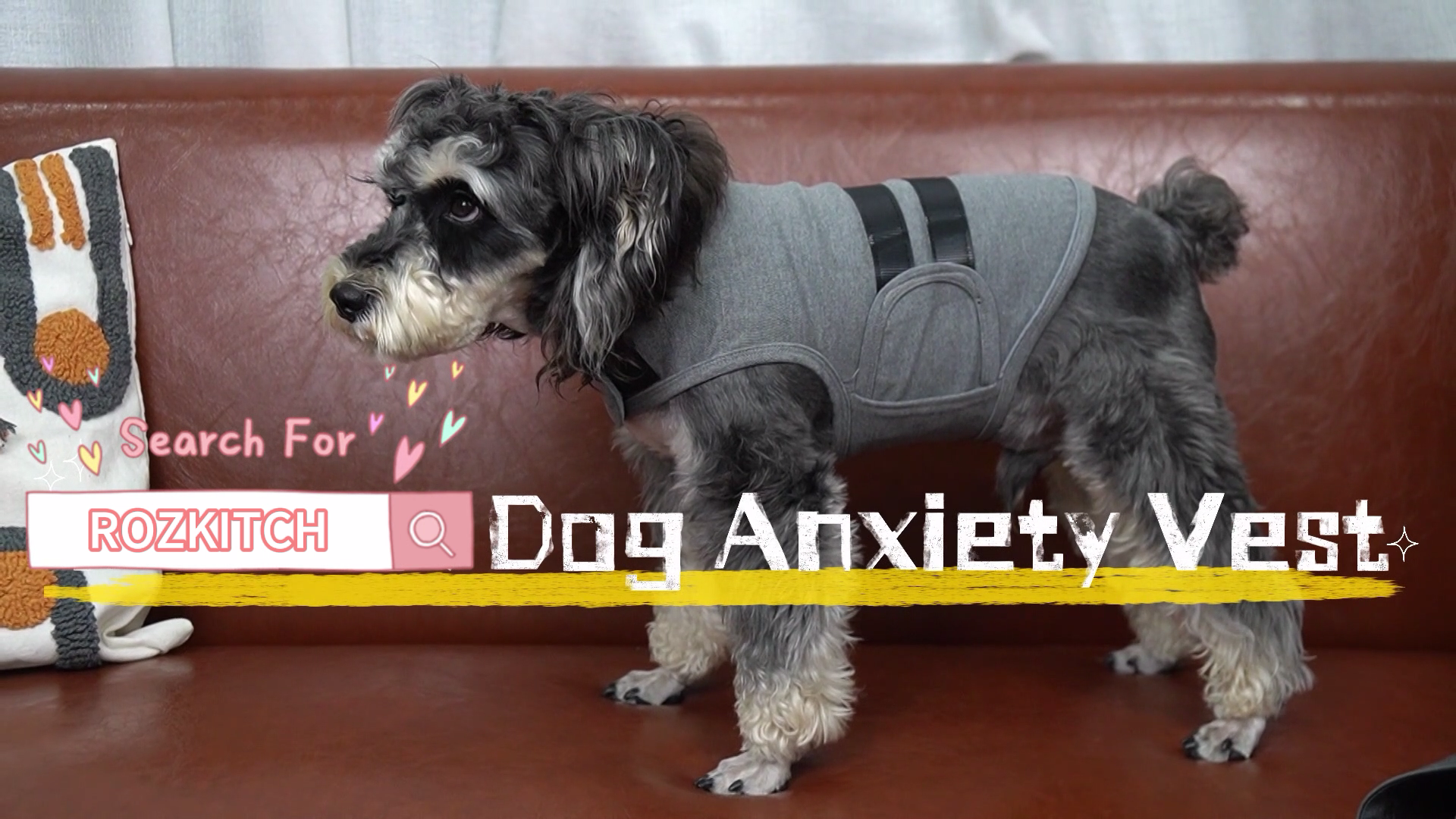 thumbnail video image 2 of ROZKITCH Dog Anxiety Jacket Adjustable Dog Calming Vest for Fireworks Travel Separation Dog Anxiety Relief Shirt for Small Dogs(Gray M), 2 of 8