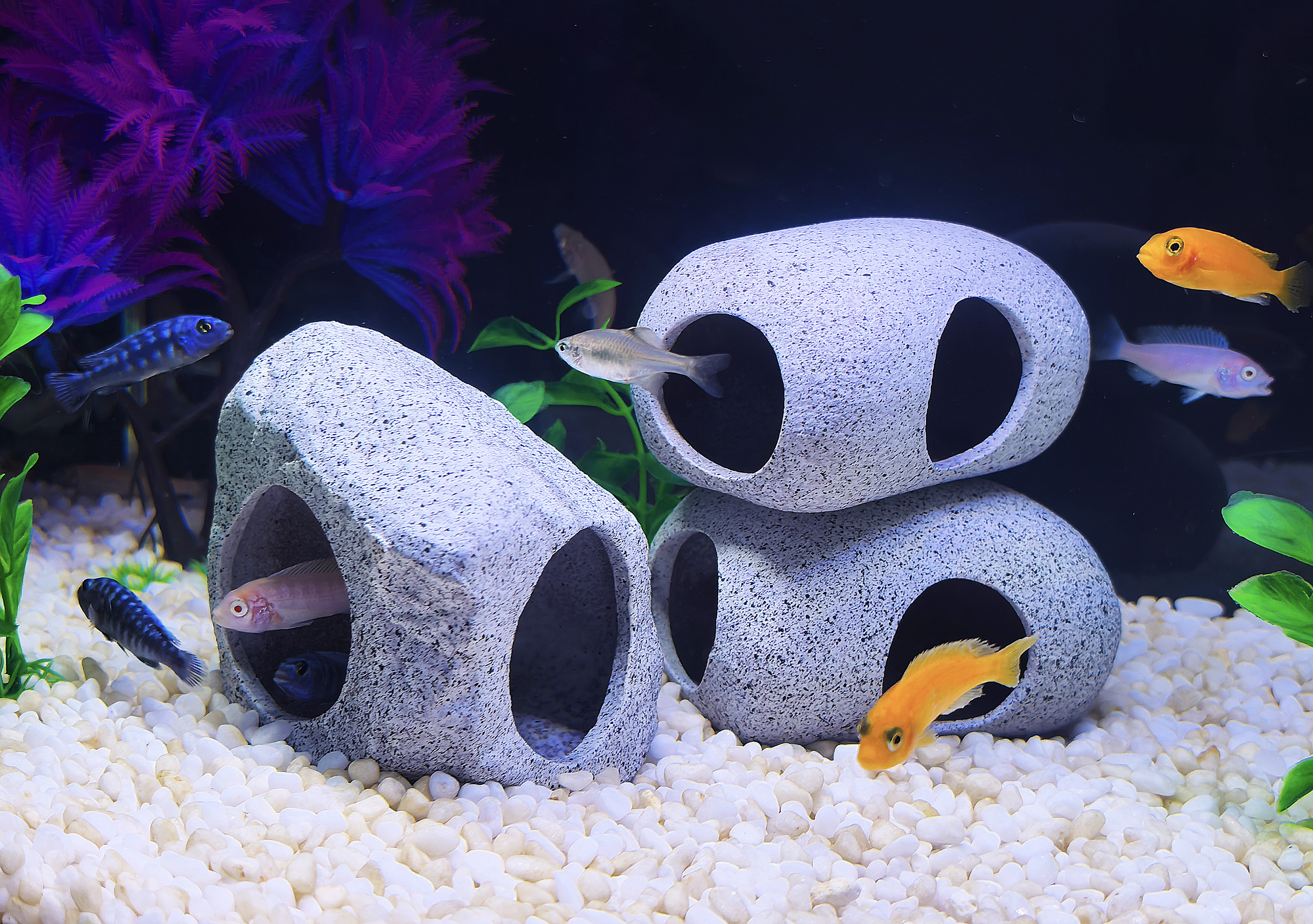 thumbnail video image 2 of 2PCS Aquarium Hideaway Rocks for Aquatic Pets to Breed, Play and Rest, Safe and Non-toxic Fish Tank Ornaments, Ceramic Decor Rocks for Betta, 2 of 10