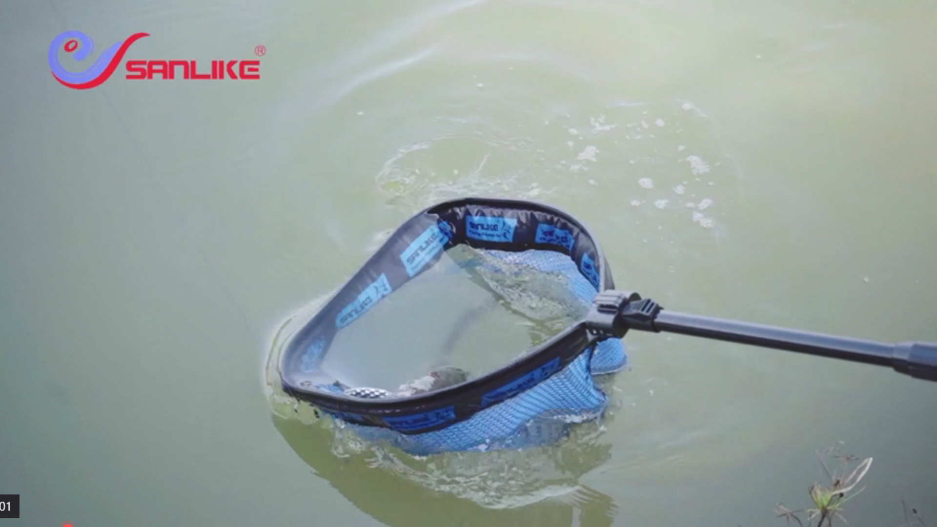 thumbnail video image 2 of SAN LIKE Floating Fishing Net Collapsible Fishing Net Fishing Landing Net with Telescoping Pole Fishing net Freshwater Rubber Coated for Steelhead Salmon Fly Bass Trout Easy to Carry Extend to 41inch, 2 of 7