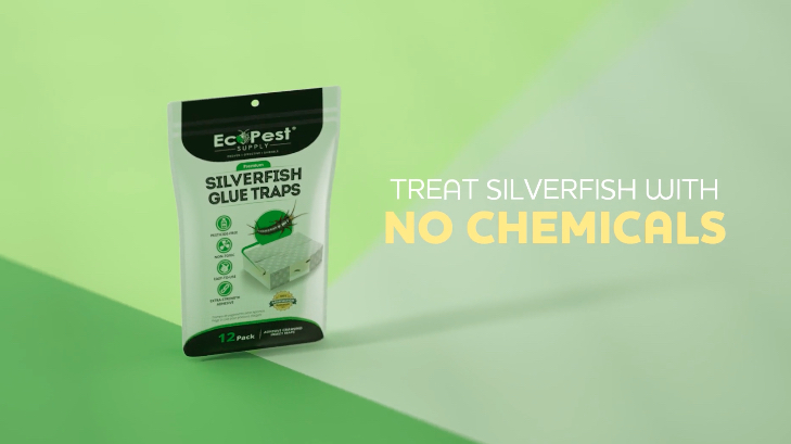 thumbnail video image 2 of Silverfish Glue Trap — 12 Pack | Sticky Indoor Glue Trap with Natural Attractant | Traps Silverfish, Firebrat, and Other Bugs and Crawling Insects | Silverfish Killer Paks, Monitor, and Detector, 2 of 13