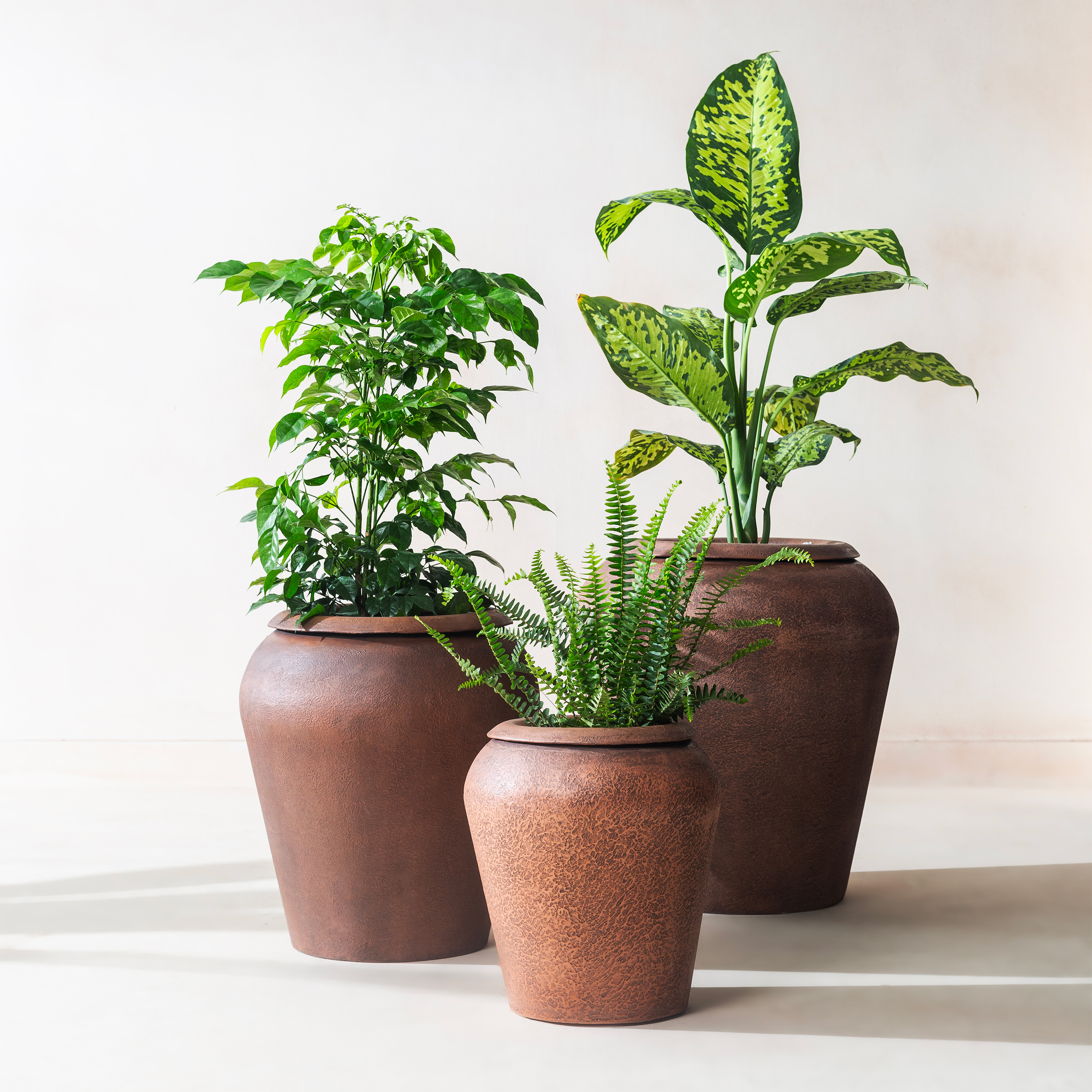 thumbnail video image 2 of Fab Habitat Hydra Tall Metal Planter, Small (14”H x 11”W) in Mousse – Indoor/Outdoor, Lightweight with Drainage, 2 of 9