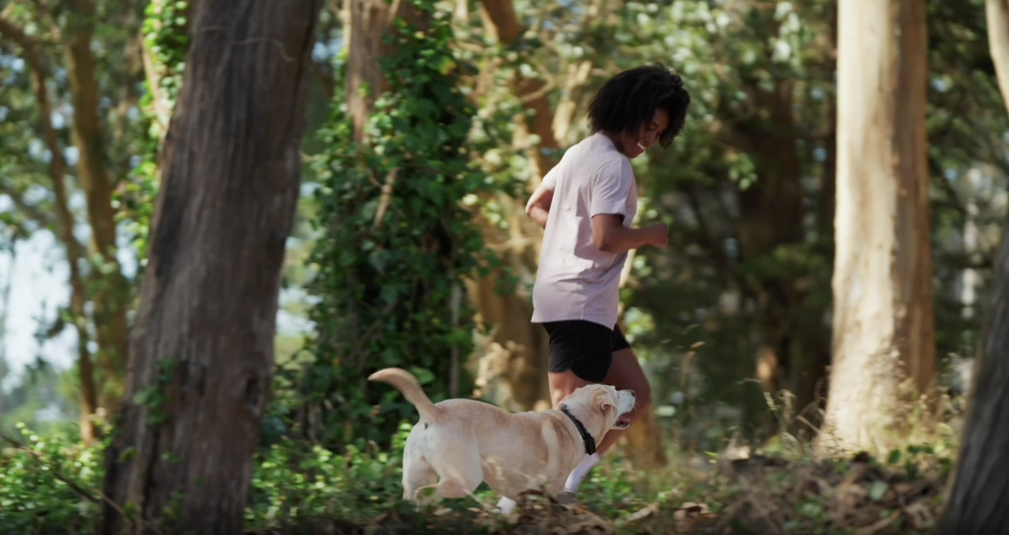 thumbnail video image 2 of SATELLAI Collar Go, Smart Wireless Fence GPS Dog Collar, Live Tracking & Health Monitoring, 15-Day Max Battery Life(Sandstone Beige), M(13"-18"), 2 of 11