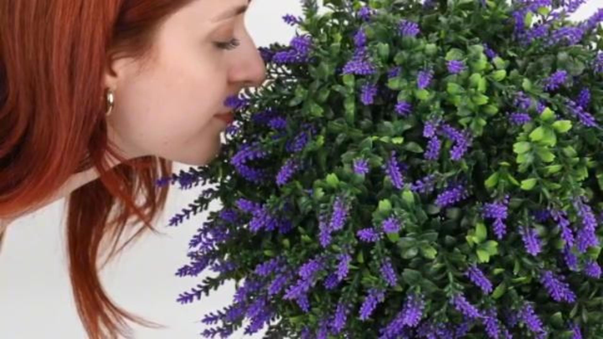 thumbnail video image 2 of Artificial Boxwood Topiary Ball with Lavender | UV Resistant 2pcs Set w/Ground Spike for Outdoor/Indoor, 2 of 8