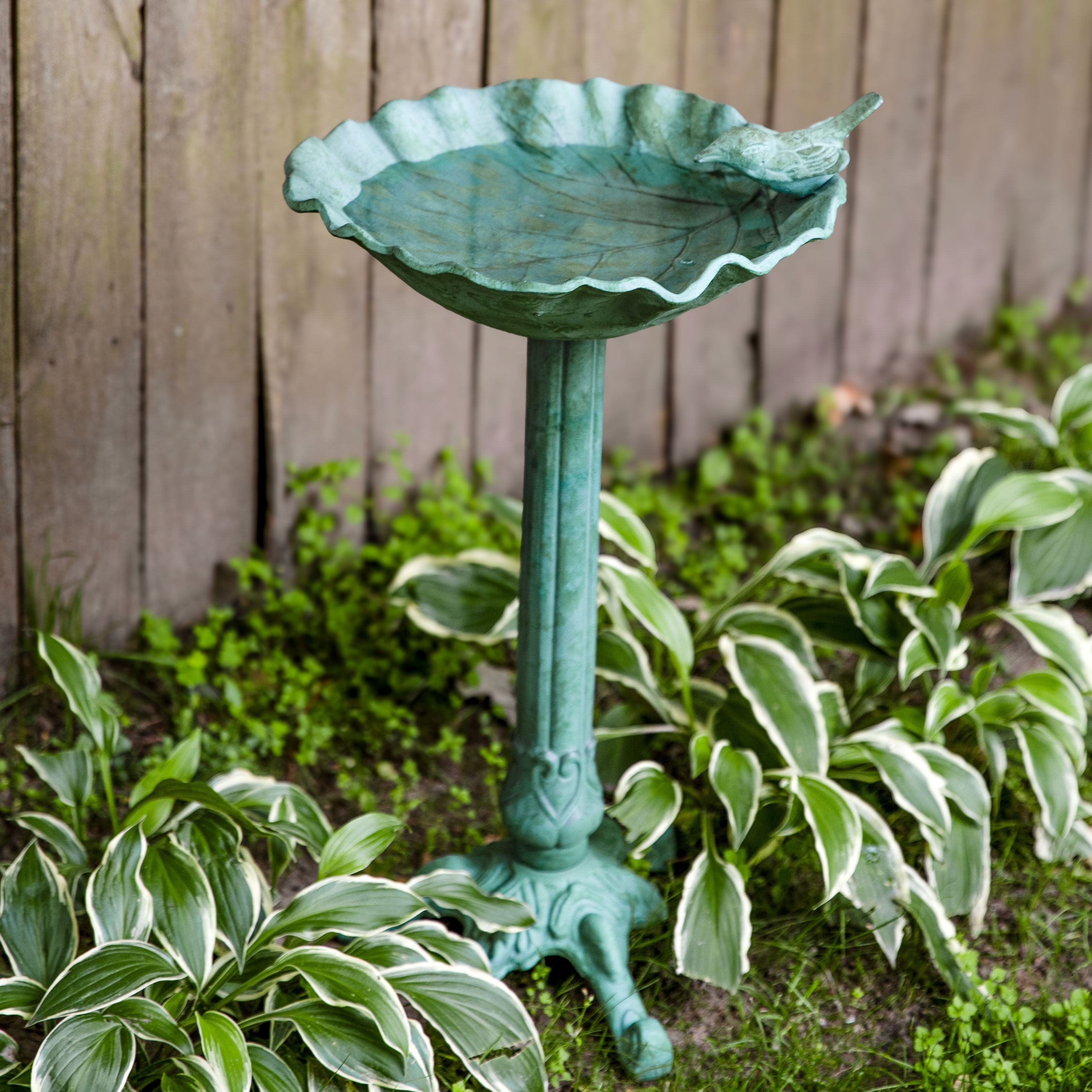 thumbnail video image 2 of Sunnydaze Autumnal Leaf Freestanding Cast Aluminum Outdoor Bird Bath, Green Patina, 2 of 9