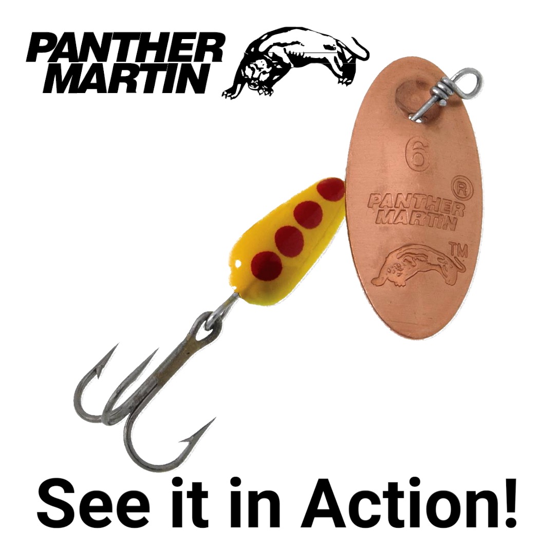 thumbnail video image 2 of Panther Martin PMCB_2_CY Classic Regular Teardrop Spinners Fishing Lure - Copper/Yellow - 2 (1/16 oz), 2 of 7