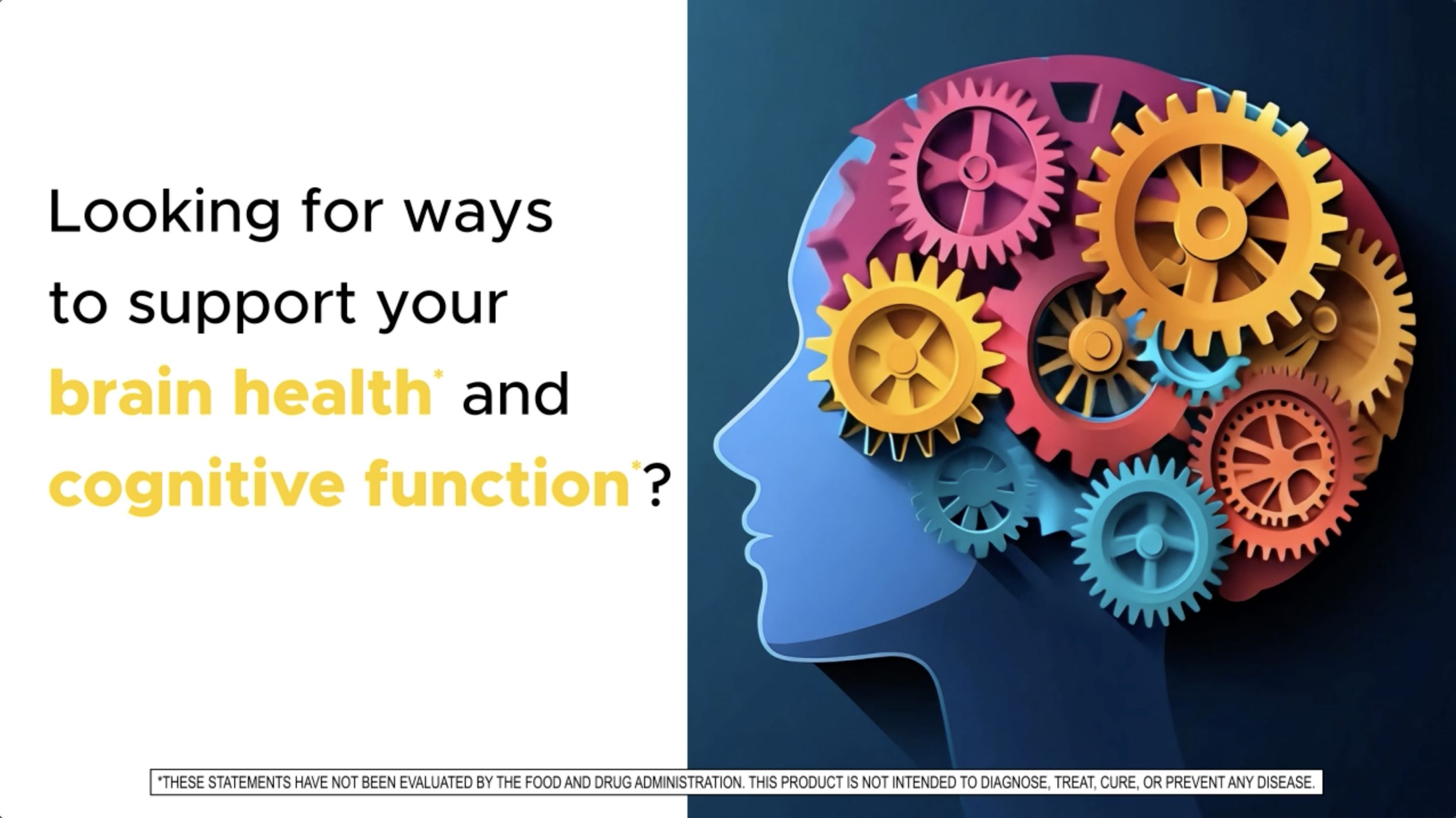 Spring Valley 4-Function Brain Support Dietary Supplement
