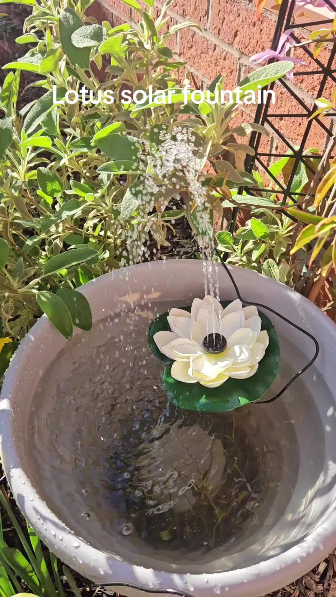 thumbnail video image 2 of Solar Floating Fountain Lotus Pad, Solar Powered Water Lily Fountain for Pond Pool Garden and Outdoor Water Feature, Easy Setup No Wiring,Purple, 2 of 9