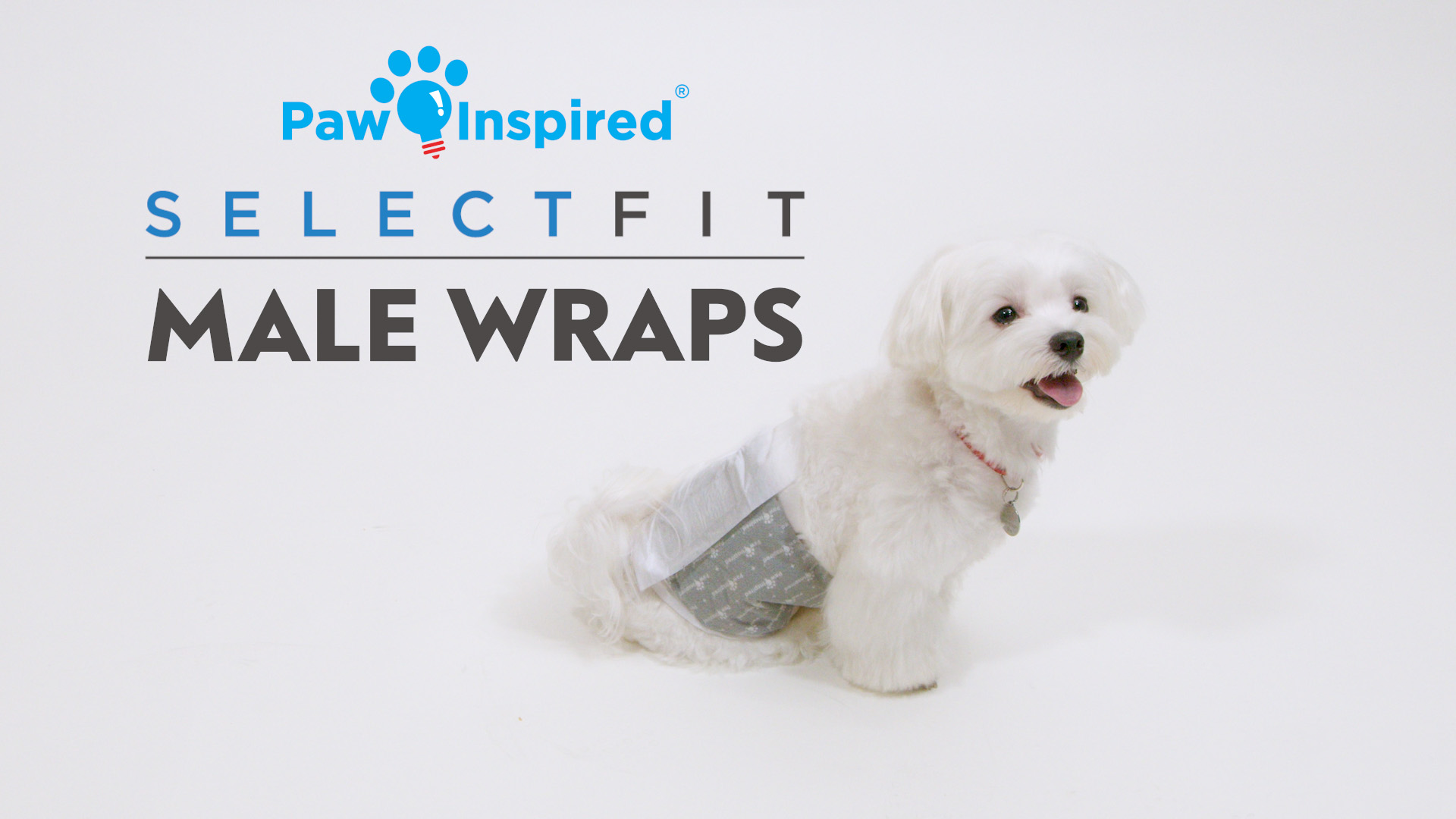 Wdidnth Paw Inspired, Disposable Male Diapers, 20ct, Wetness Indicator ...