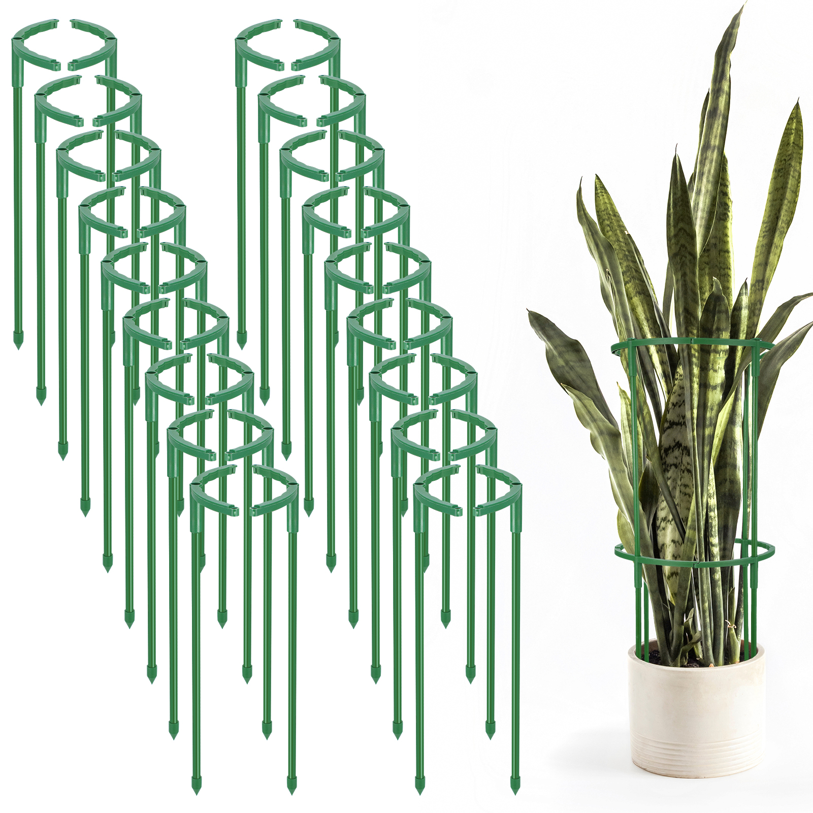 thumbnail video image 2 of topjuju 36 Pcs Plant Support Stakes, Half Round Plant Support, Stackable Garden Tomato Support, Easy to Install Plant Stakes for Indoor Outdoor Plants Tomato, Monstera, Hydrangea, 2 of 9