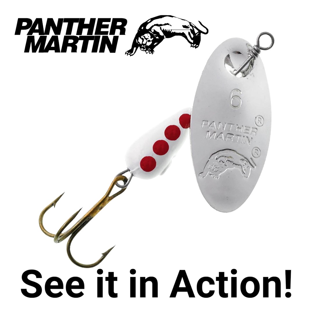 thumbnail video image 2 of Panther Martin PMR_4_SWR Classic Regular Teardrop Spinners Fishing Lure - Silver/White/Red - 4 (1/8 oz), 2 of 7