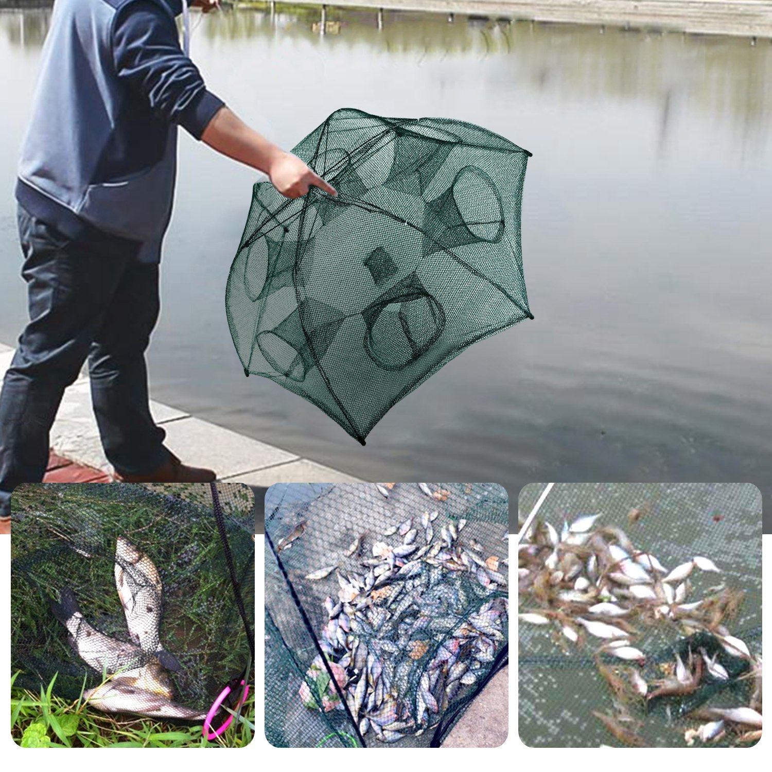thumbnail video image 2 of JelyHT 6 Hole Foldable Fishing Bait Trap, Nylon Mesh Steel Frame Portable Net for Minnow Crawfish Shrimp, 2 of 9