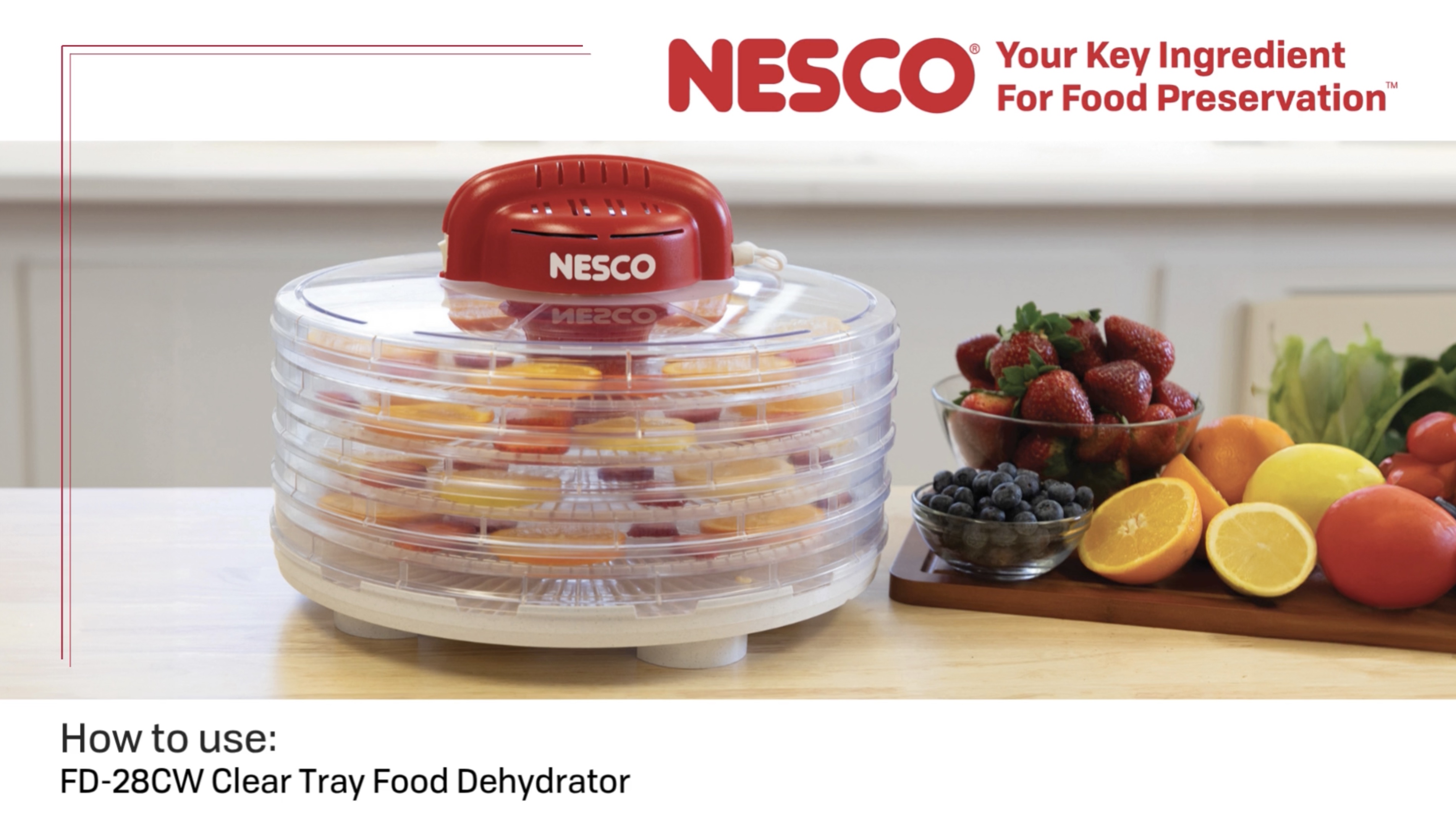 NESCO Fixed Temperature Dehydrator 4 Trays - Walmart.com