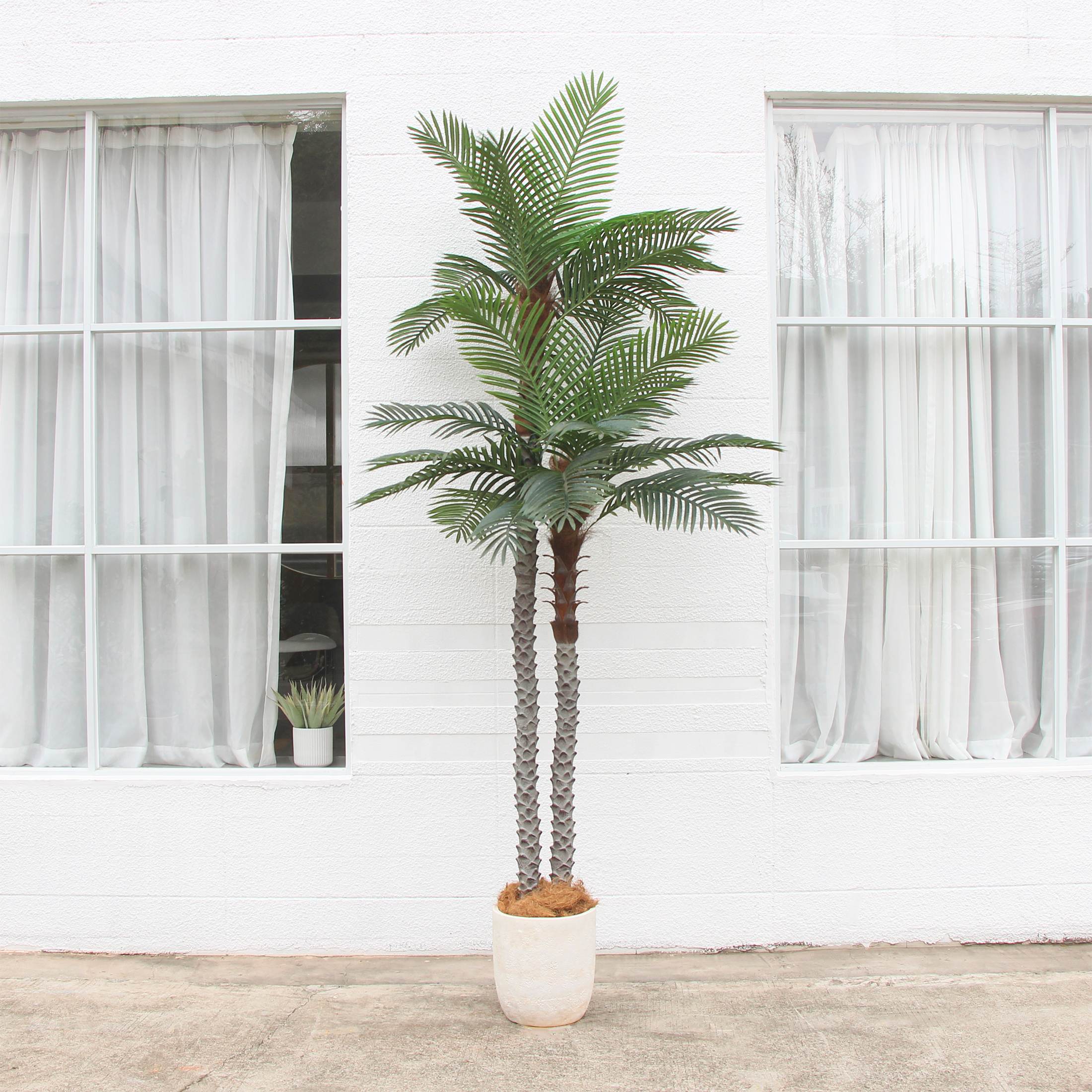 thumbnail video image 2 of Nafresh 10ft UV Resistant Faux Palm Tree with Full and Lifelike Leaves , 120in Artificial Palm Tree with Realistic Trunks and Real Bark for Outdoor Indoor Home Office Decor., 2 of 9