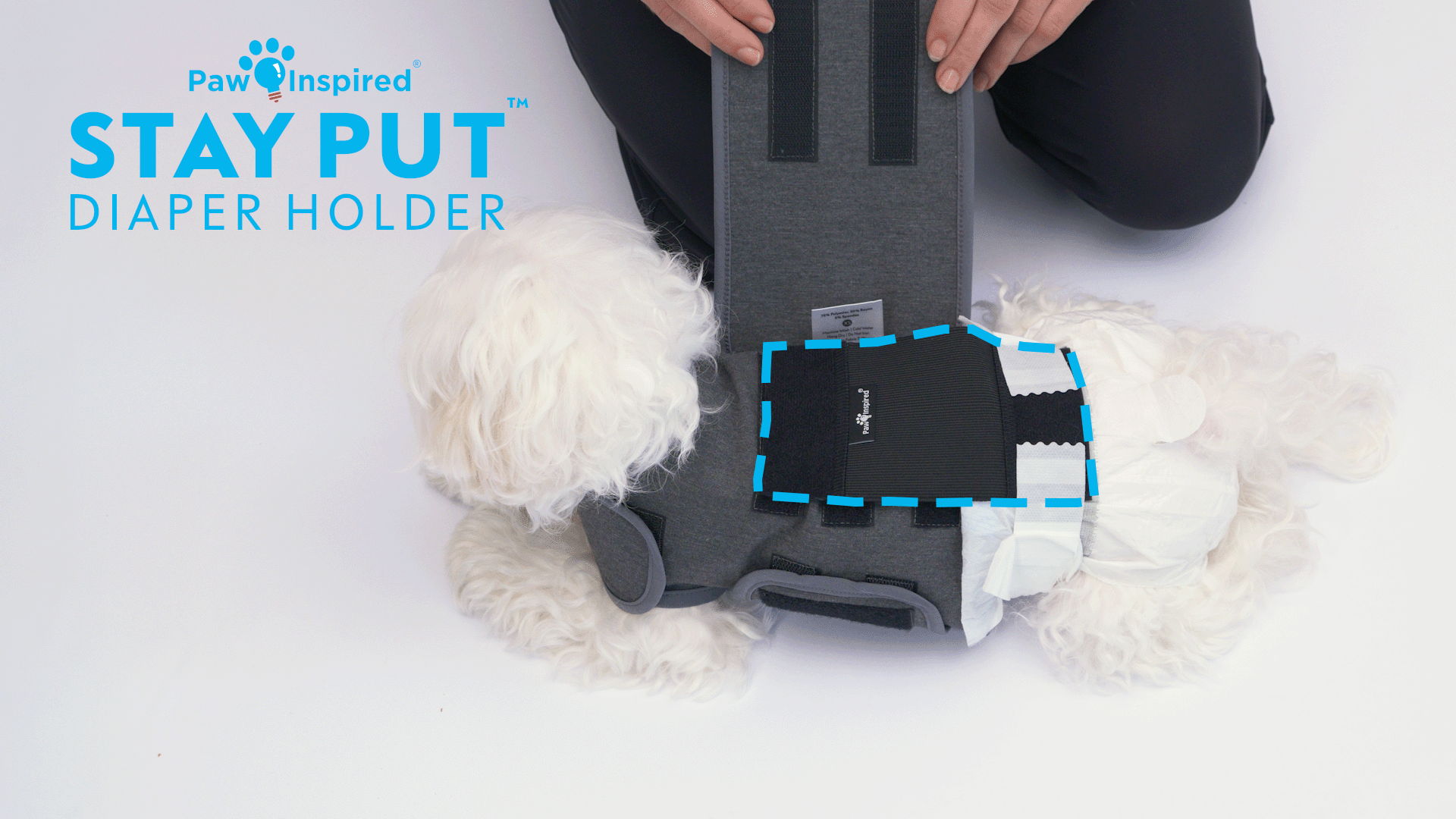thumbnail video image 2 of Paw Inspired Stay Put Dog Diaper Holder for Use with Calming Weighted Anxiety Vest  (Sold Separately), Compatible with Disposable or Washable Dog Diapers, 2 of 7