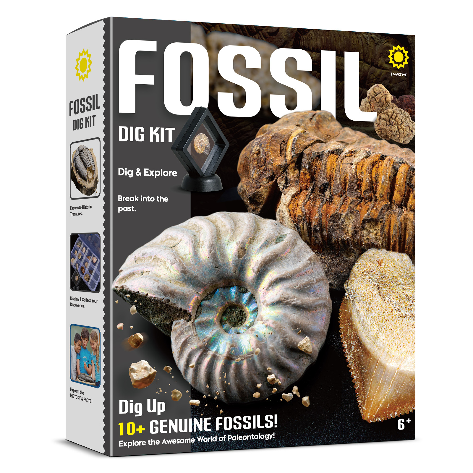 thumbnail video image 2 of Piano Potato Fossil Dig Kit for Kids - Excavate 12 Real Prehistoric Fossils, STEM Science Archeology Toy with Tools & Display Case, Ages 6-12, 2 of 7