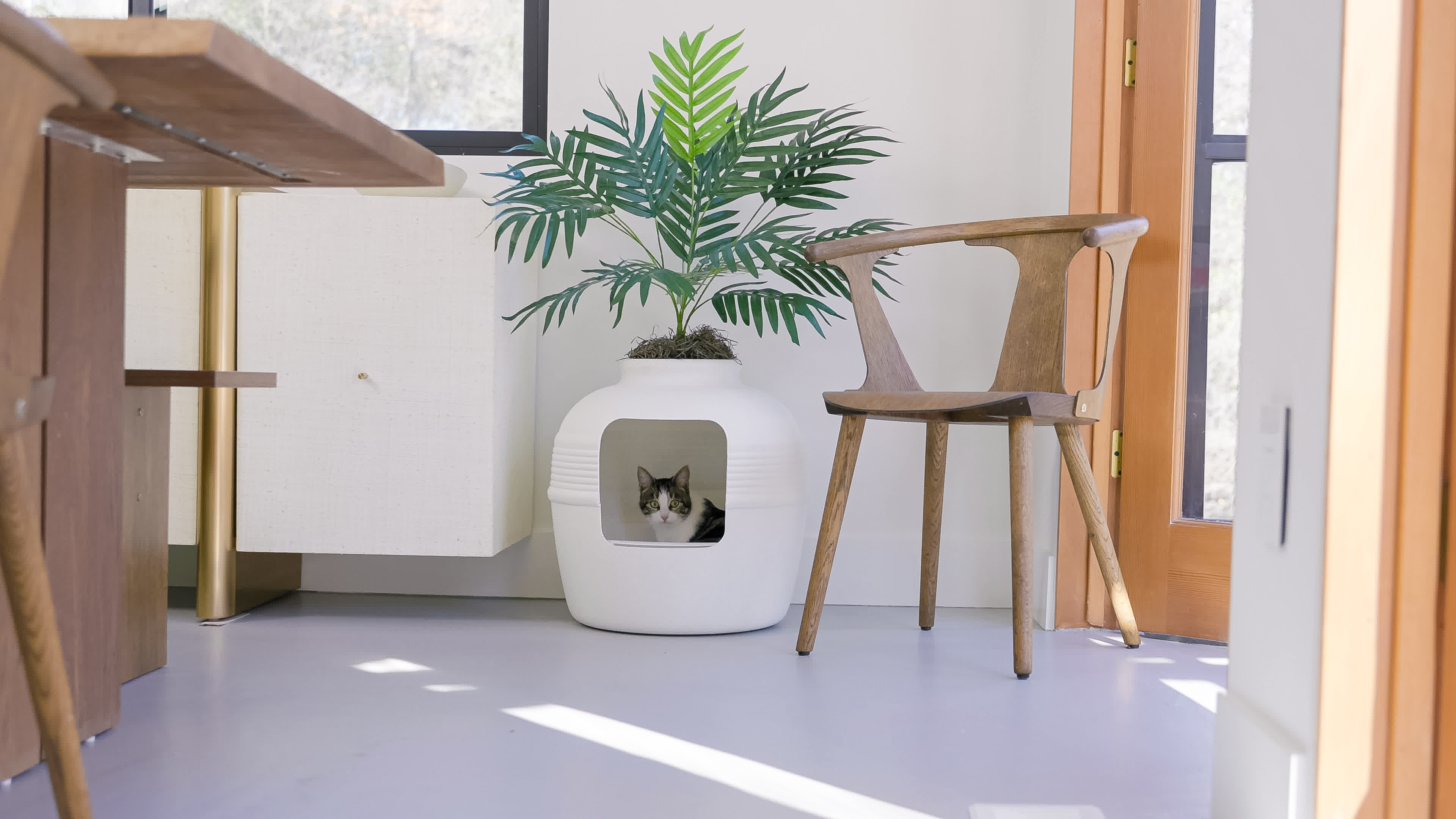 thumbnail video image 2 of Good Pet Stuff Hidden Cat Litter Box Enclosure with Artificial Plant, Odor Filter System, Original Round Planter, Base Kit, Black Suede, 2 of 17
