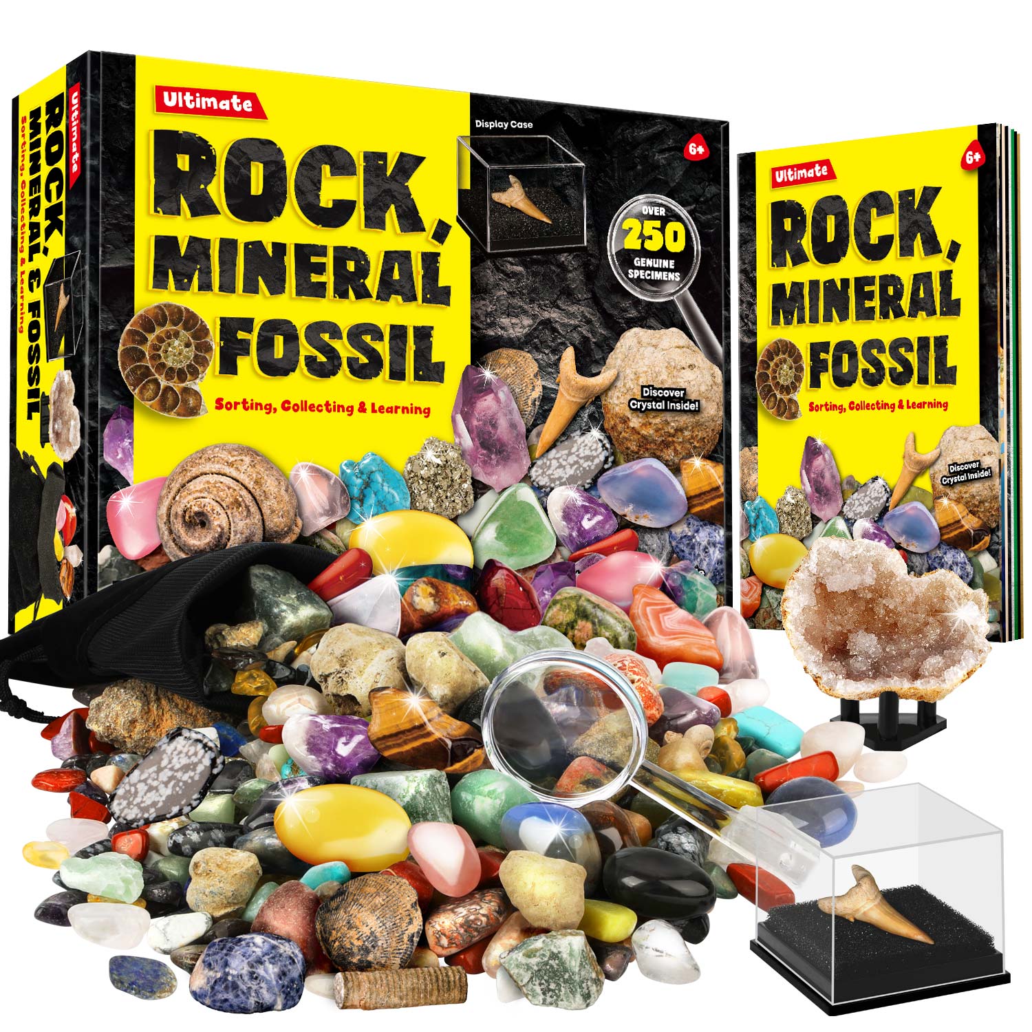 thumbnail video image 2 of Piano Potato Rocks Minerals & Fossils Collection for Kids 250+ Real Gemstones and Crystals Rock Identification Kit Includes Display Case, Genuine Fossils, Geodes Great Geology, Science Gift for Boys, 2 of 8