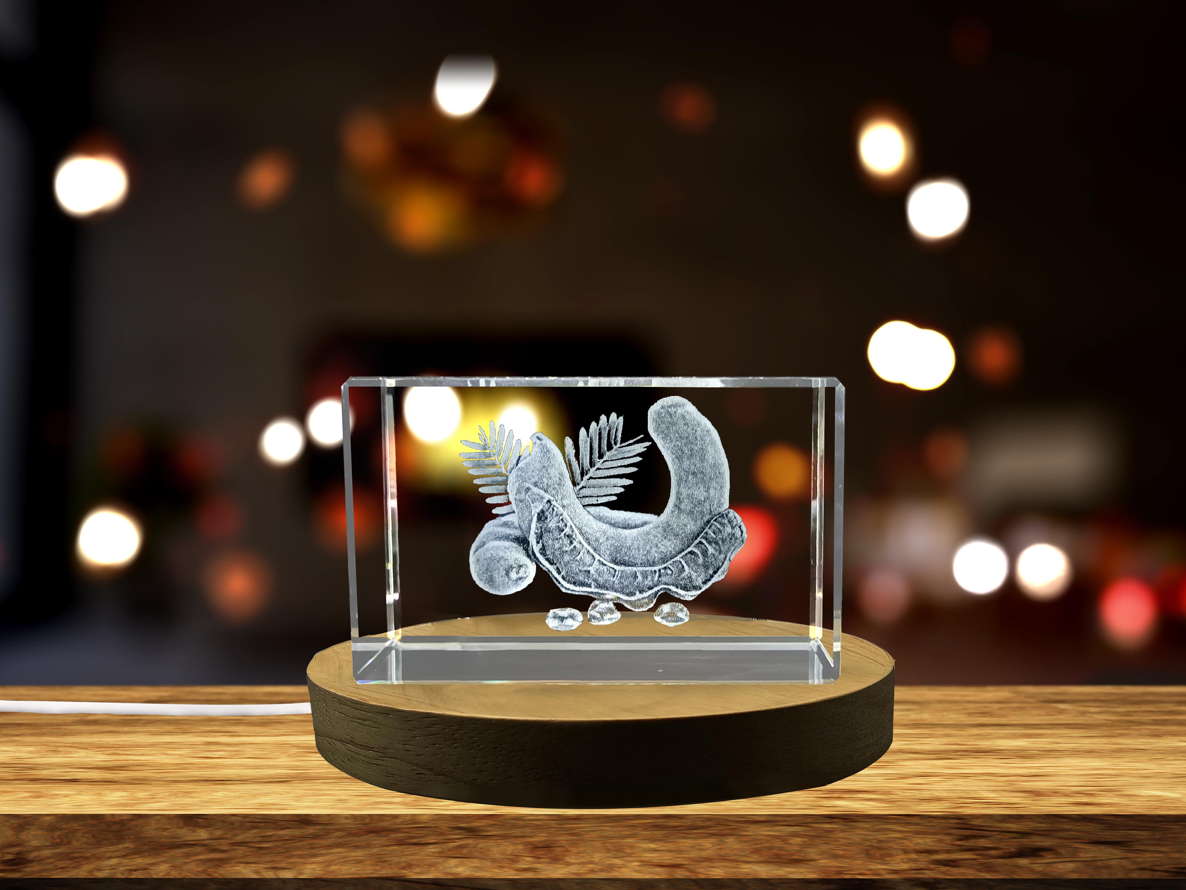 thumbnail video image 2 of Tamarind 3D Engraved Crystal Decor Gift, 2 of 7
