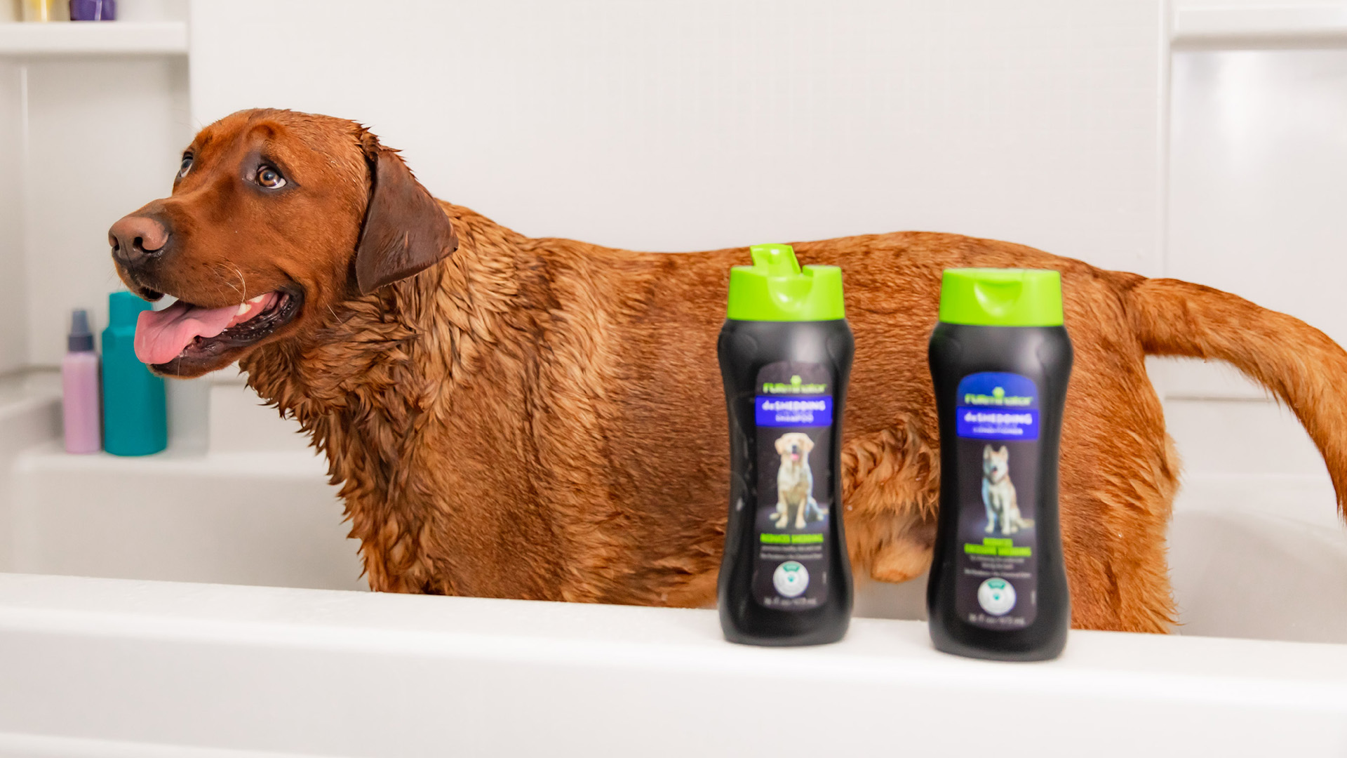 thumbnail video image 3 of FURminator Ultra Premium deShedding Shampoo for Dogs Helps Reduce Excess Shedding, 16 oz, 3 of 12