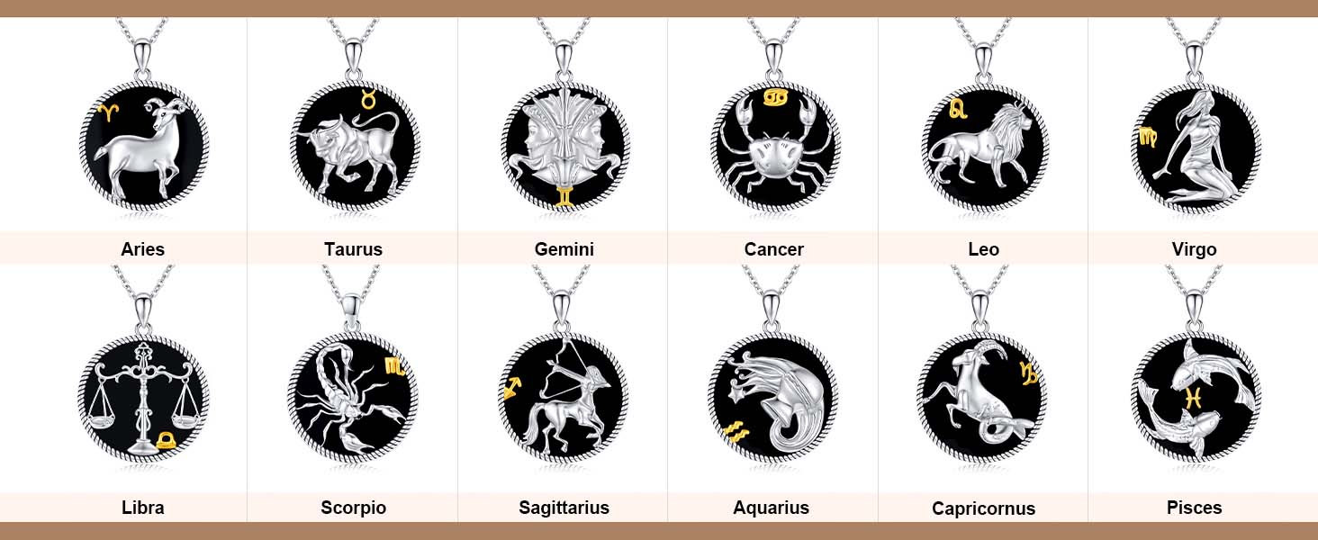 thumbnail video image 2 of Midir&Etain Pisces Necklace 925 Sterling Silver Constellation Pendant Necklace Zodiac Sign Necklace Pisces Birthday Jewelry Gifts for Women Men, 2 of 8