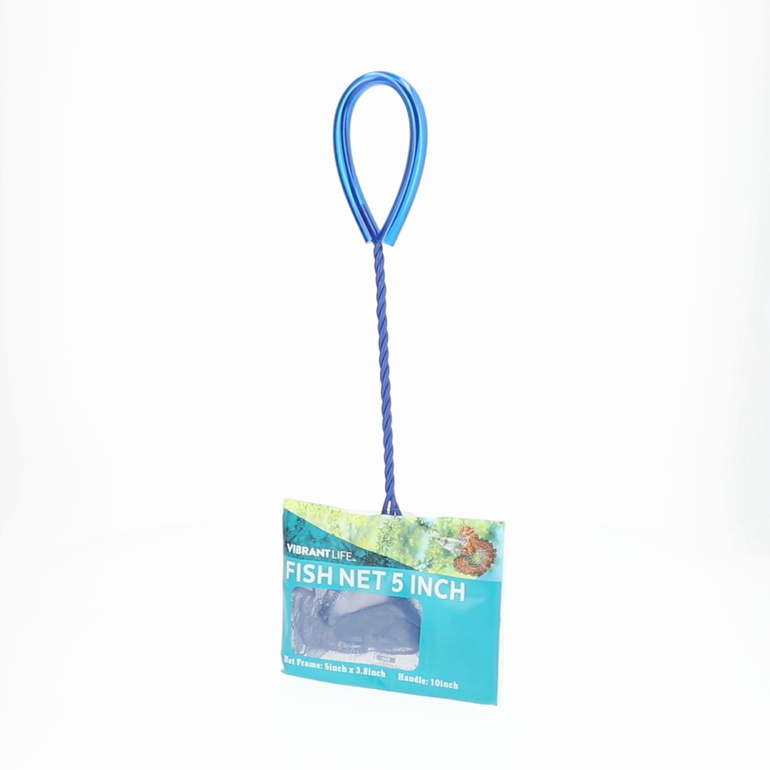 382393546 fish net Vibrant Life Fish Net, 5