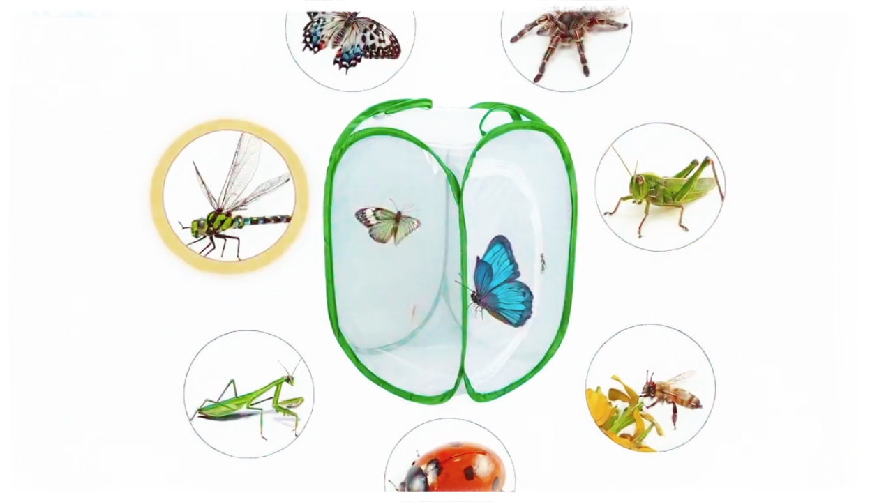 thumbnail video image 2 of NexTone Insect and Butterfly Habitat Cage Terrarium Pop-up 23.6 Inches Tall, 2 of 8