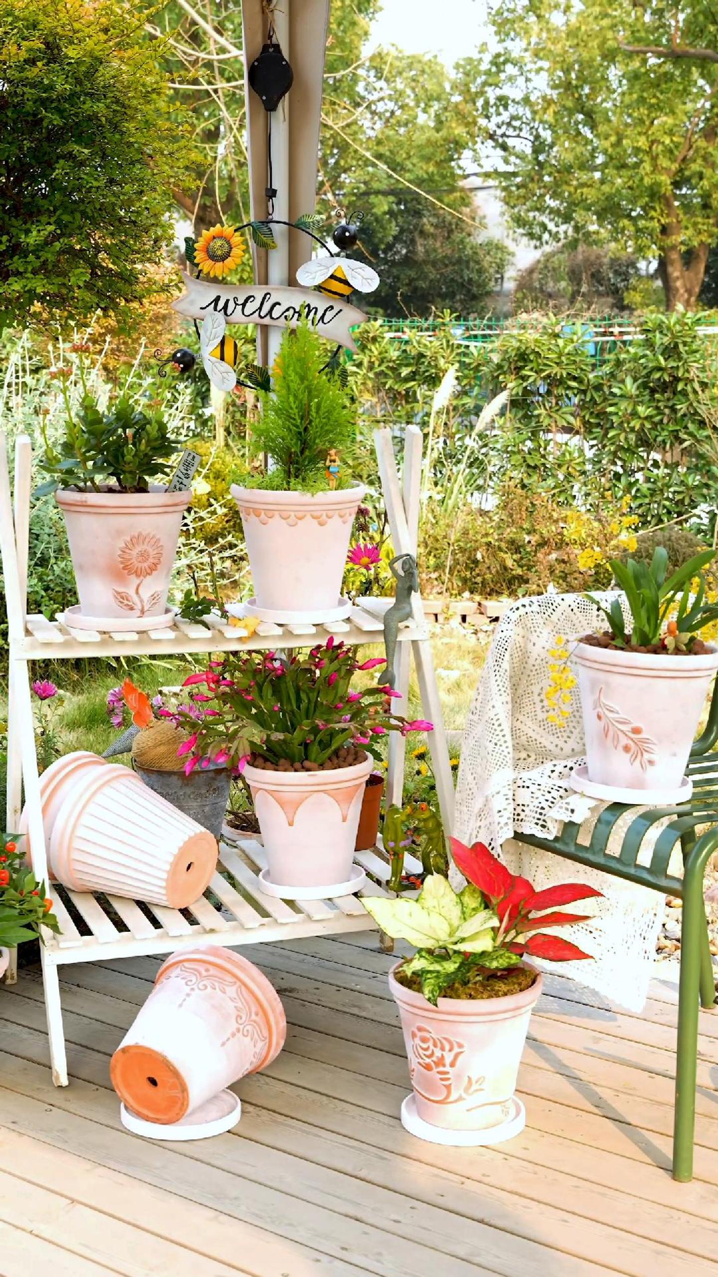 thumbnail video image 2 of Sungmor Set of 3 Terra Cotta Pots with Saucer & Drainage Hole, Large & Deep Clay Pots, Unique Embossed & Pretty Color Pottery Planters, Decorative Flower Pots for Plants Orchid Cactus Succulent, 2 of 7