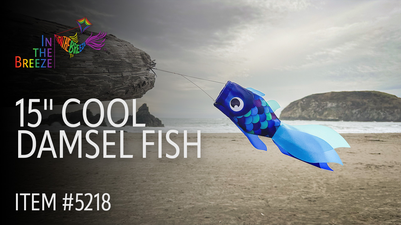 thumbnail video image 2 of In the Breeze 5218 — 15-inch Cool Damsel Fish Windsock — Colorful Blue Fishsock Hanging Garden Décor with Detailed Printed Graphics, 2 of 6
