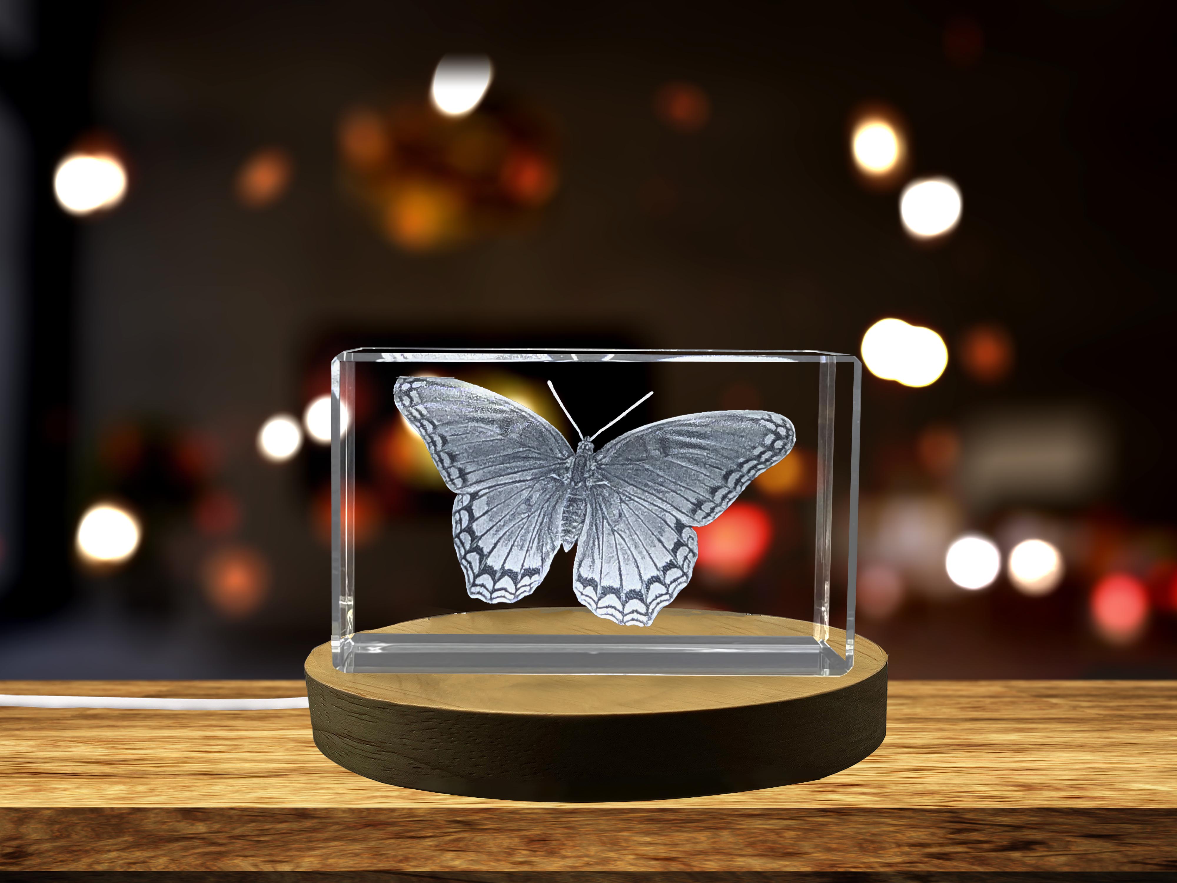 thumbnail video image 2 of Red Spotted Purple Insect Crystal Engraving |Unique 3D Carved Butterfly Decor Collectible, 2 of 7