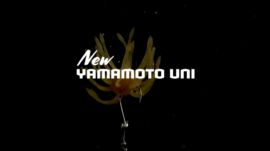 thumbnail video image 2 of Yamamoto 2" UNI - Green Pumpkin with Purple and Copper Flake, 2 of 11