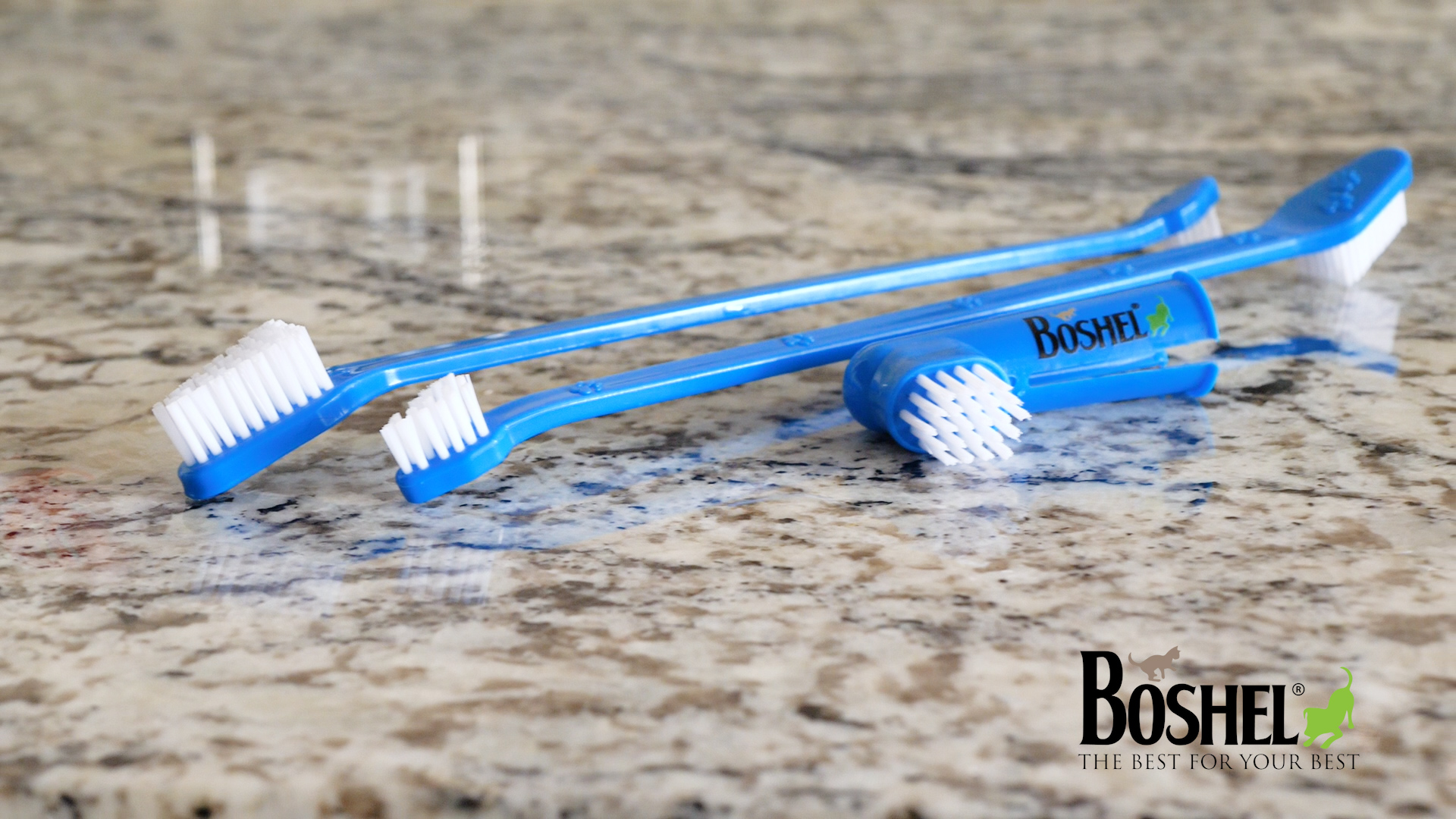 thumbnail video image 2 of BOSHEL Dual-Headed Dog Toothbrush Pack, 2 Long-Handled Brushes + 1 Finger Toothbrush, 2 of 9