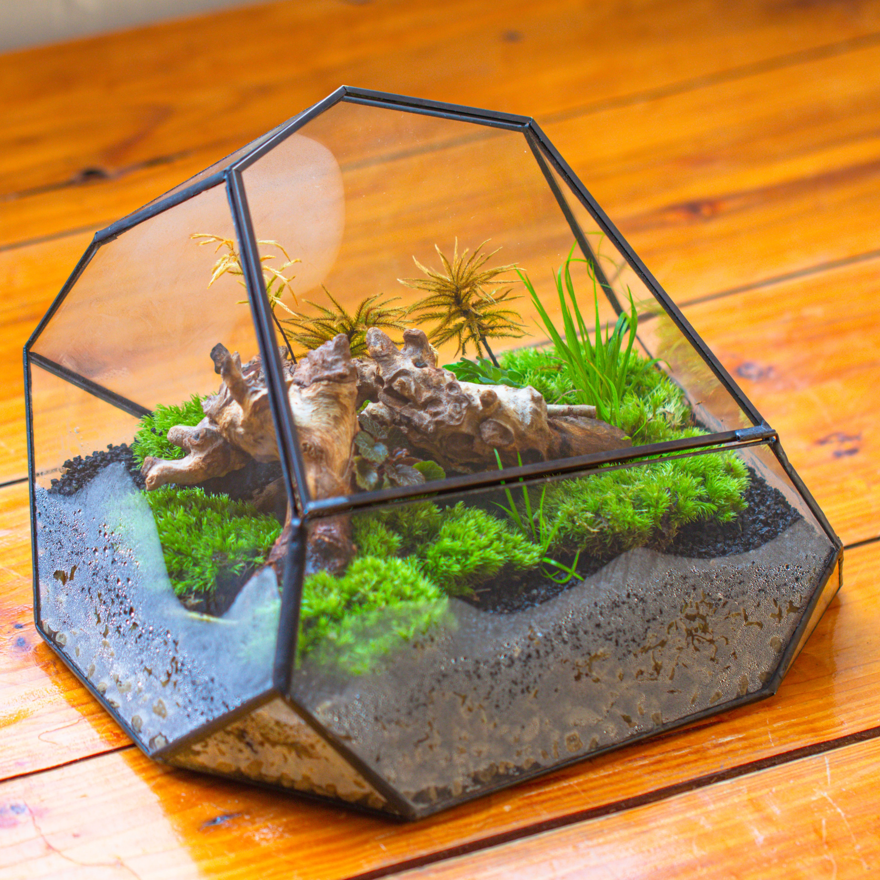thumbnail video image 2 of NCYP Irregular Geometric Glass Terrarium with Lid, for Moss Landscapes, Plants, Home Gardening, Terrarium Only, 2 of 10